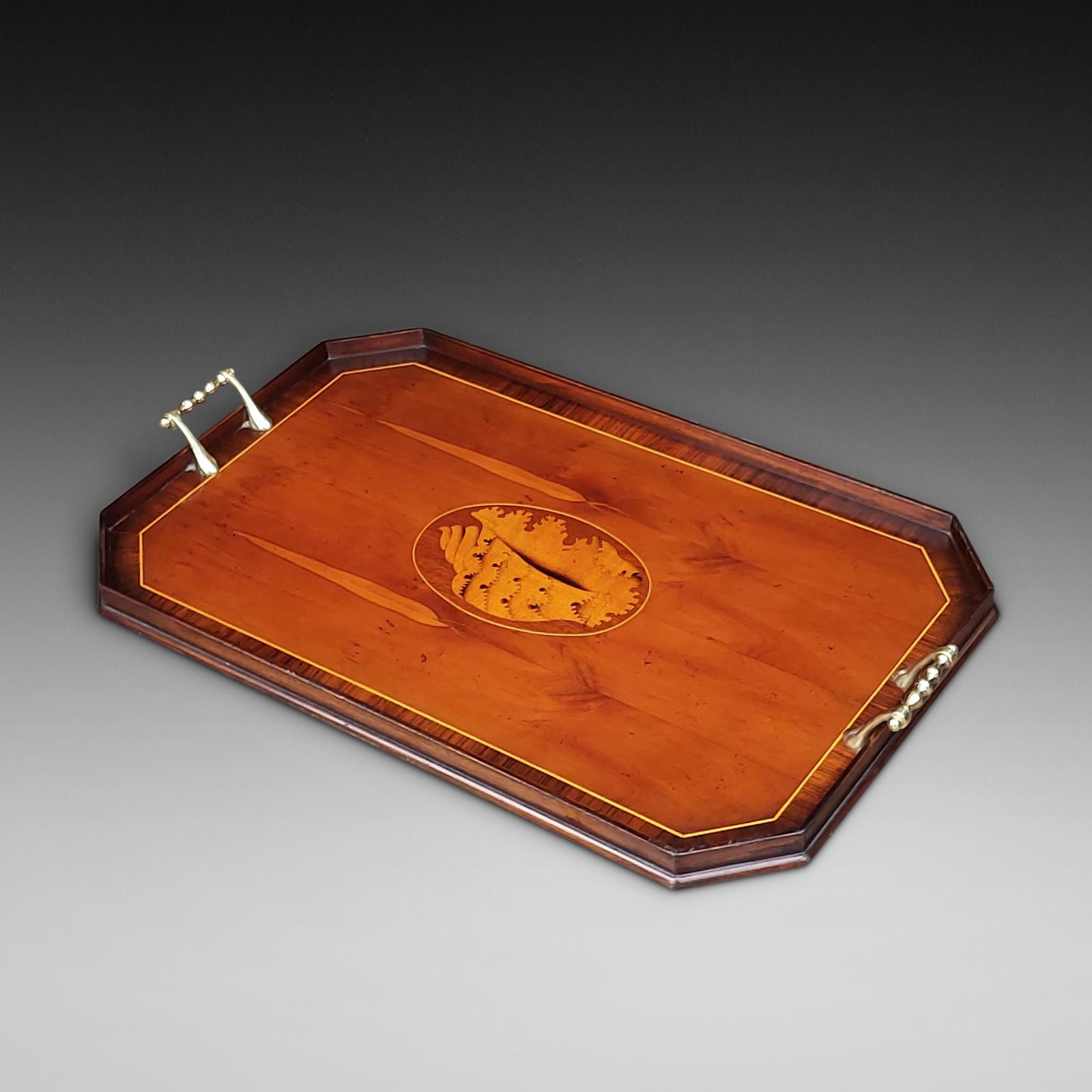 Edwardian Burr Yew, Rosewood and Mahogany Tray (1 of 8) Edwardian Burr Yew, Rosewood and Mahogany Tray (1 of 8)