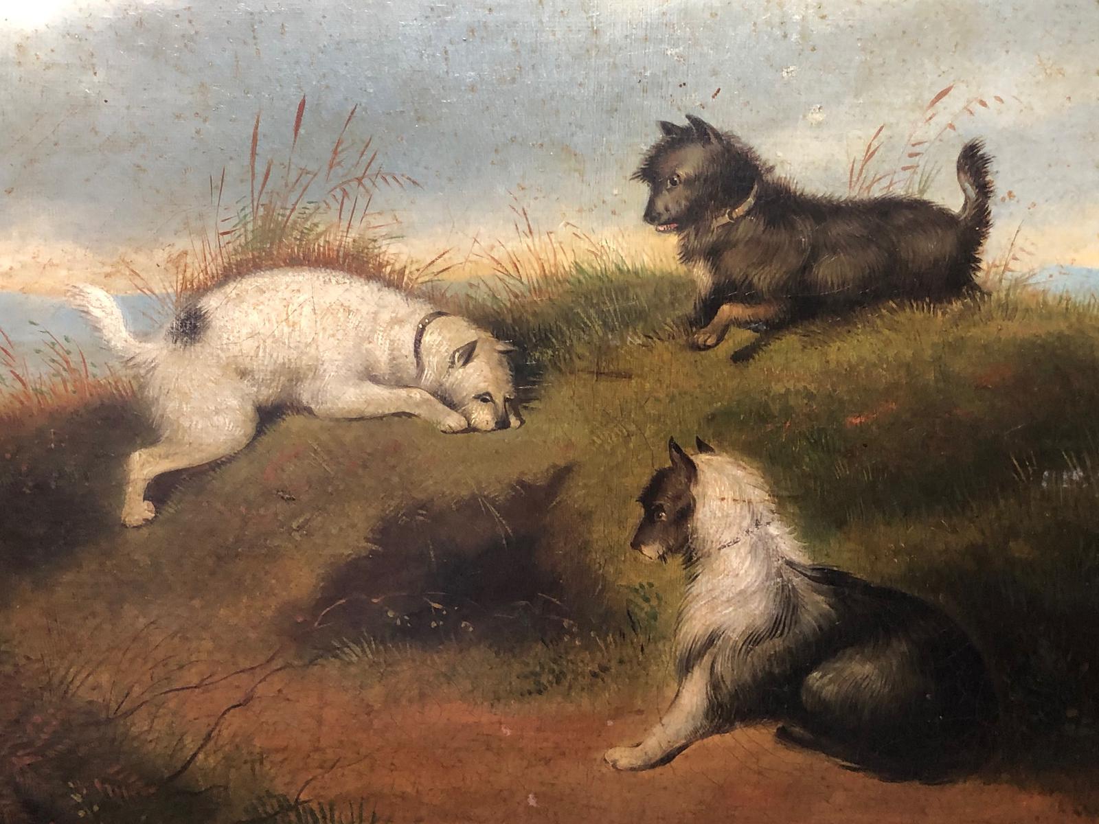 Victorian 19th Century Oil Painting 3 Terrier Dogs "Anticipation" Attributed J Langlois (1 of 42) Victorian 19th Century Oil Painting 3 Terrier Dogs "Anticipation" Attributed J Langlois (1 of 42)