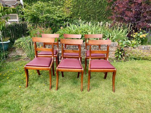 Set of 6 Mahogany Sabre Legged Dining Chairs (1 of 11)