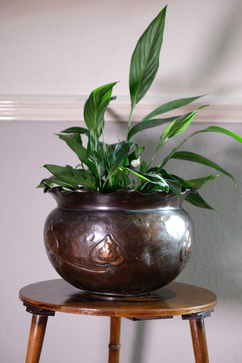 undefined - main image