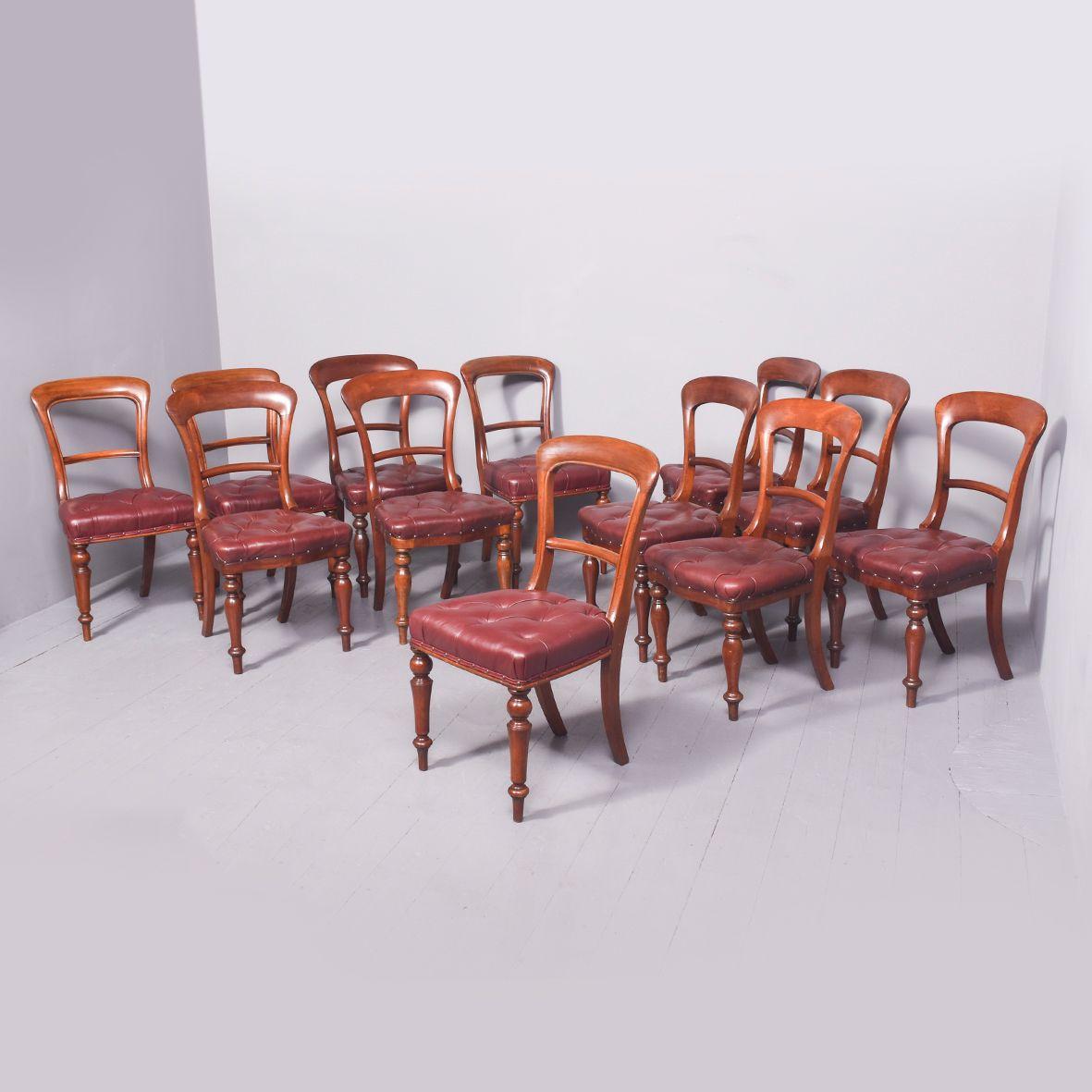 Set of 12 Scottish Mahogany Dining Chairs (1 of 10)