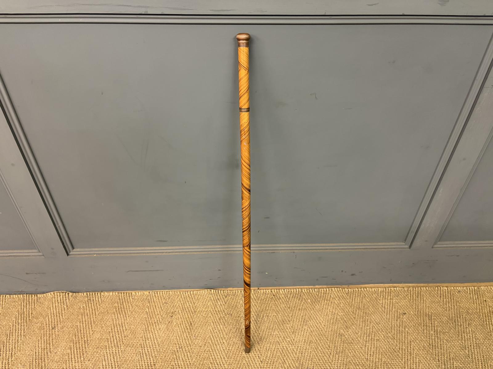Victorian Walking Cane (1 of 7) Victorian Walking Cane (1 of 7)