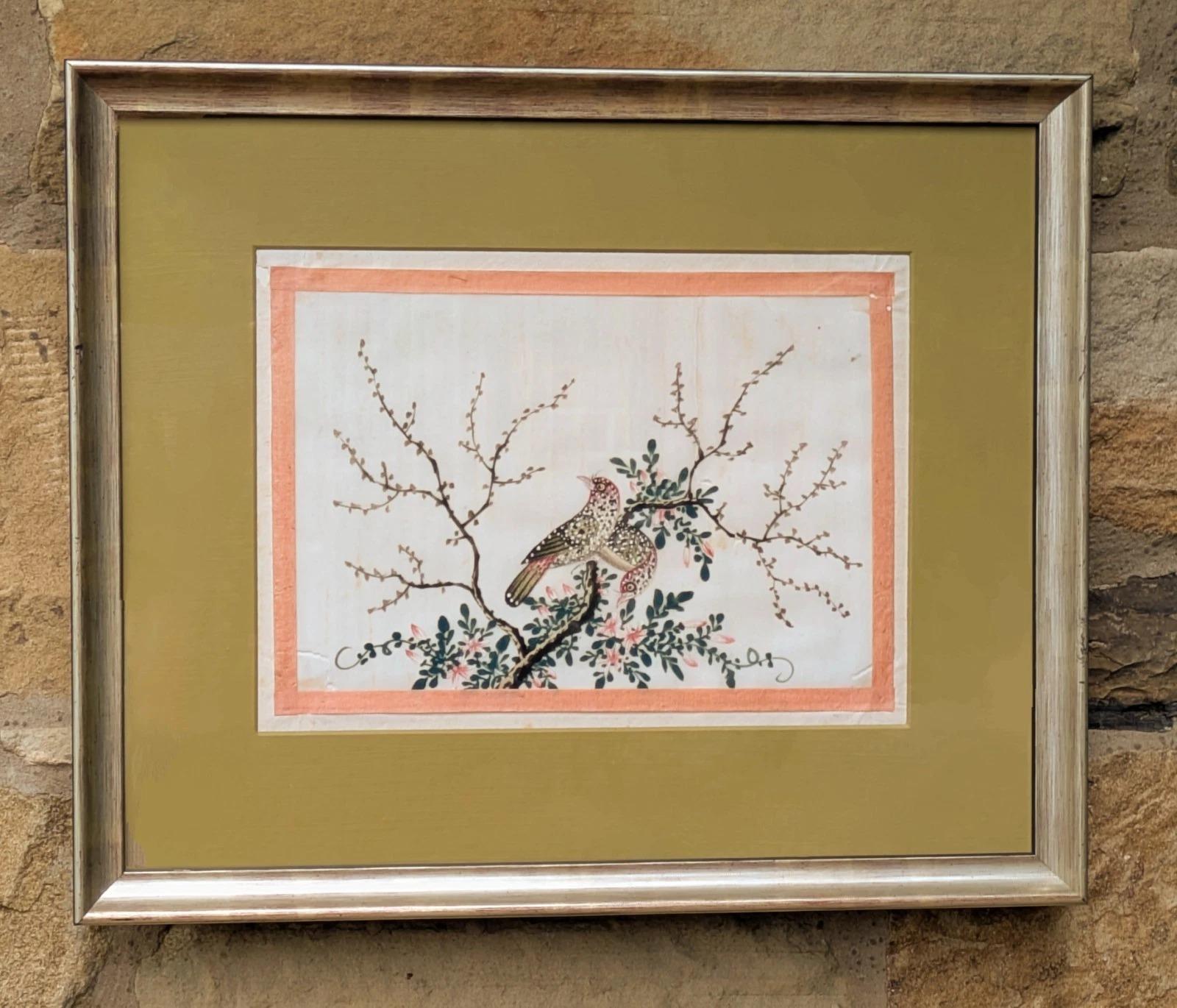 Antique Chinese Watercolour Painting Birds Among Branches (1 of 5)