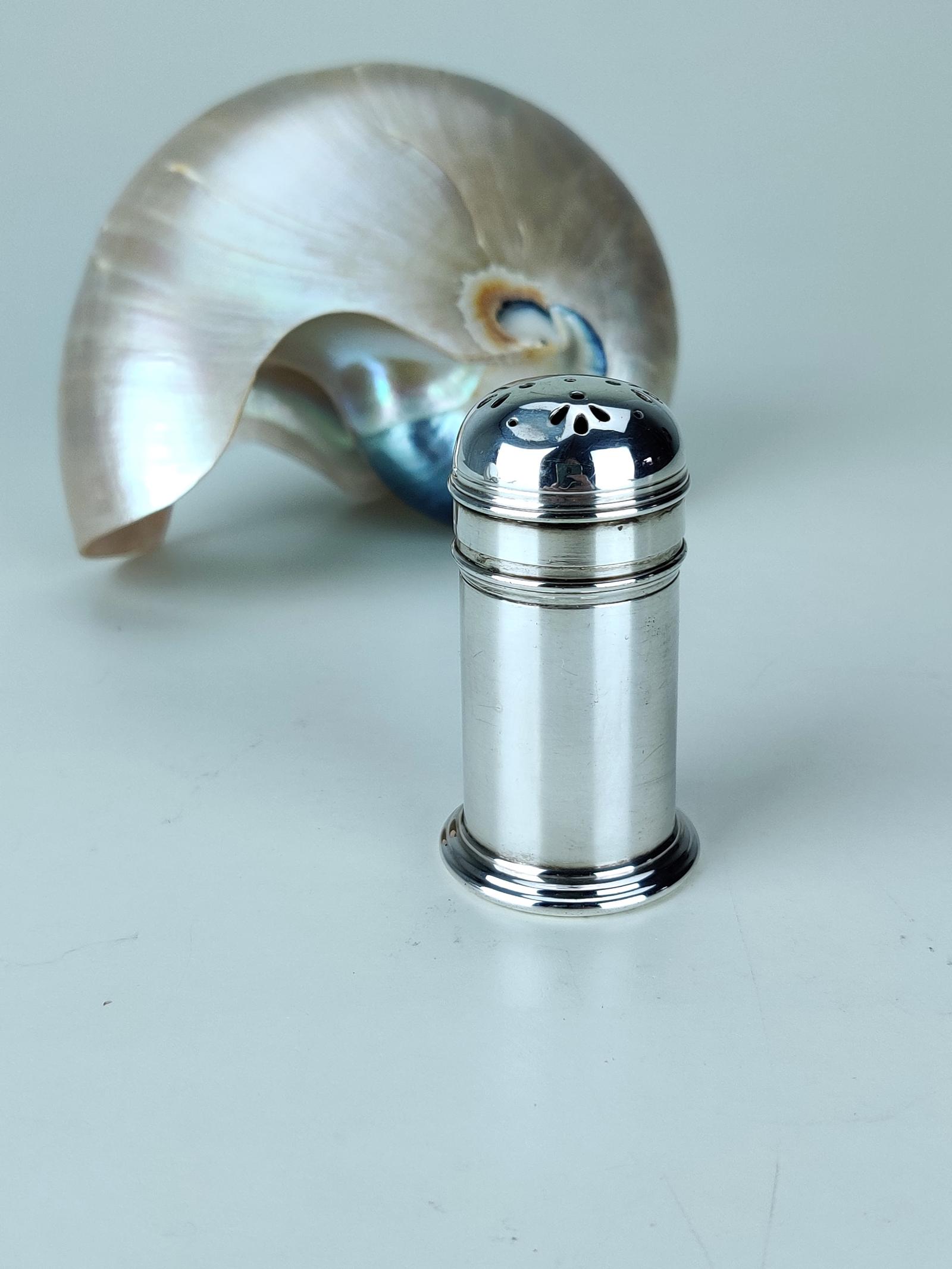 Silver Pounce Pot (1 of 7)