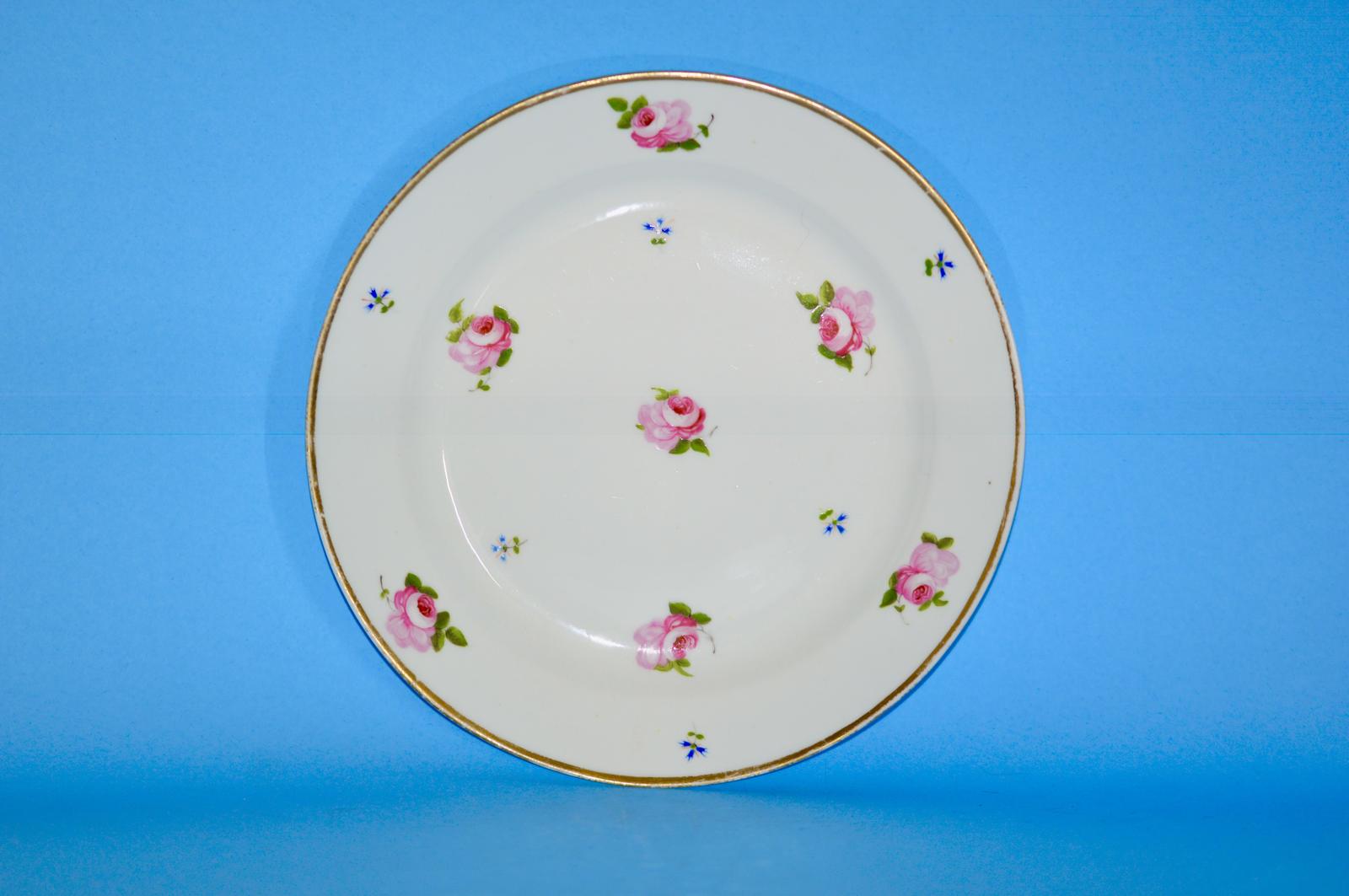 Early 19th C Swansea Porcelain Plate Possibly by Billingsley (1 of 7)