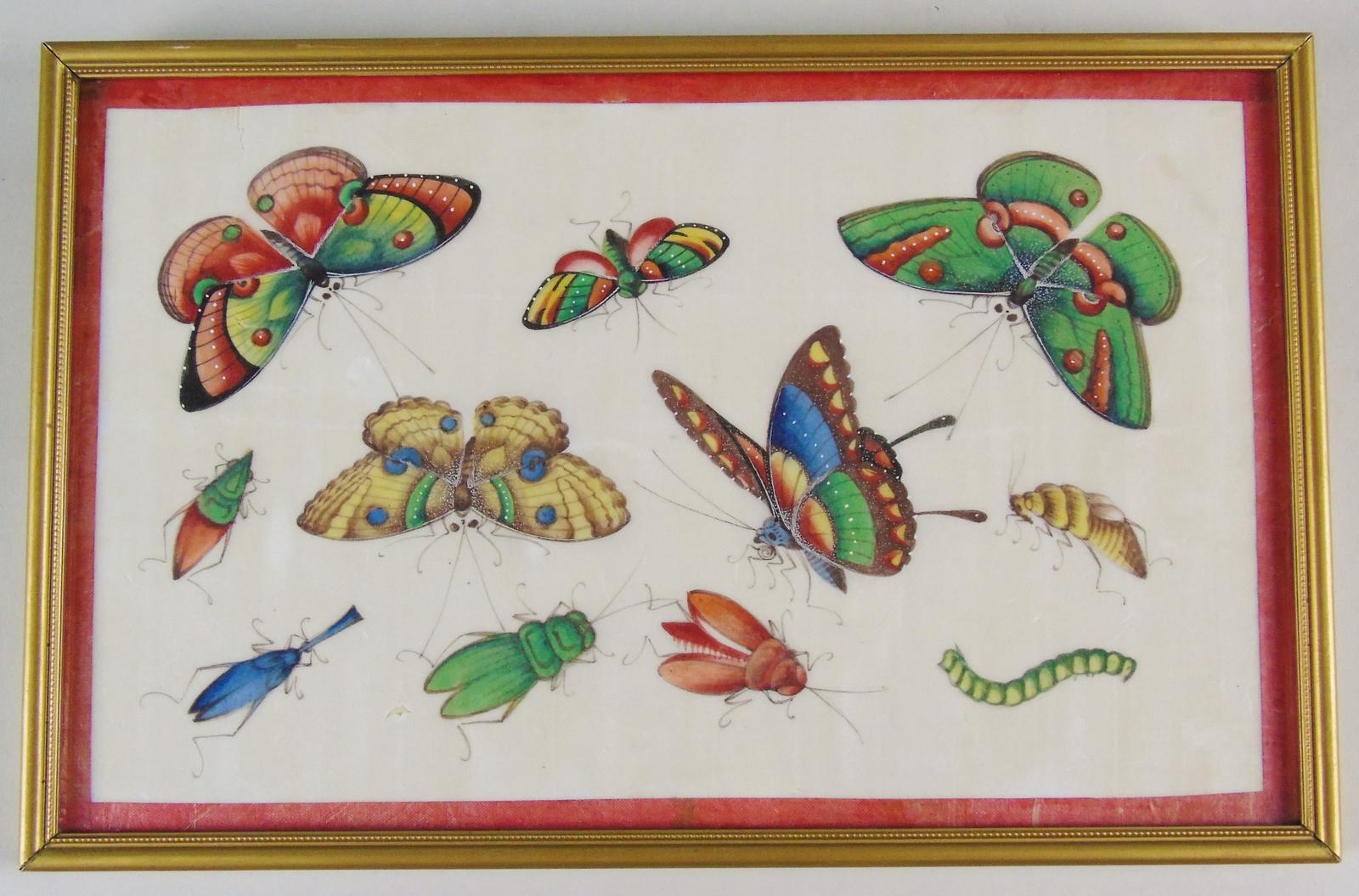 Good 19th Century Chinese Pith Painting Butterflies & Insects (1 of 8)