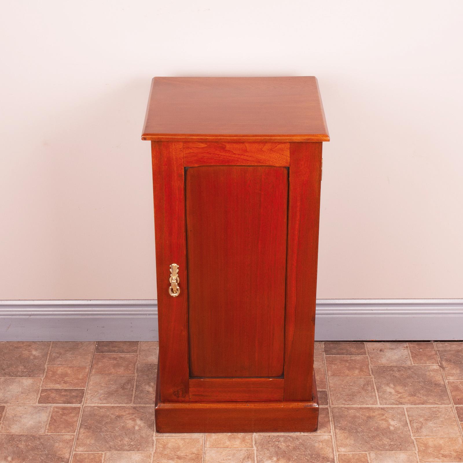Edwardian Walnut Bedside Cupboard (1 of 8)