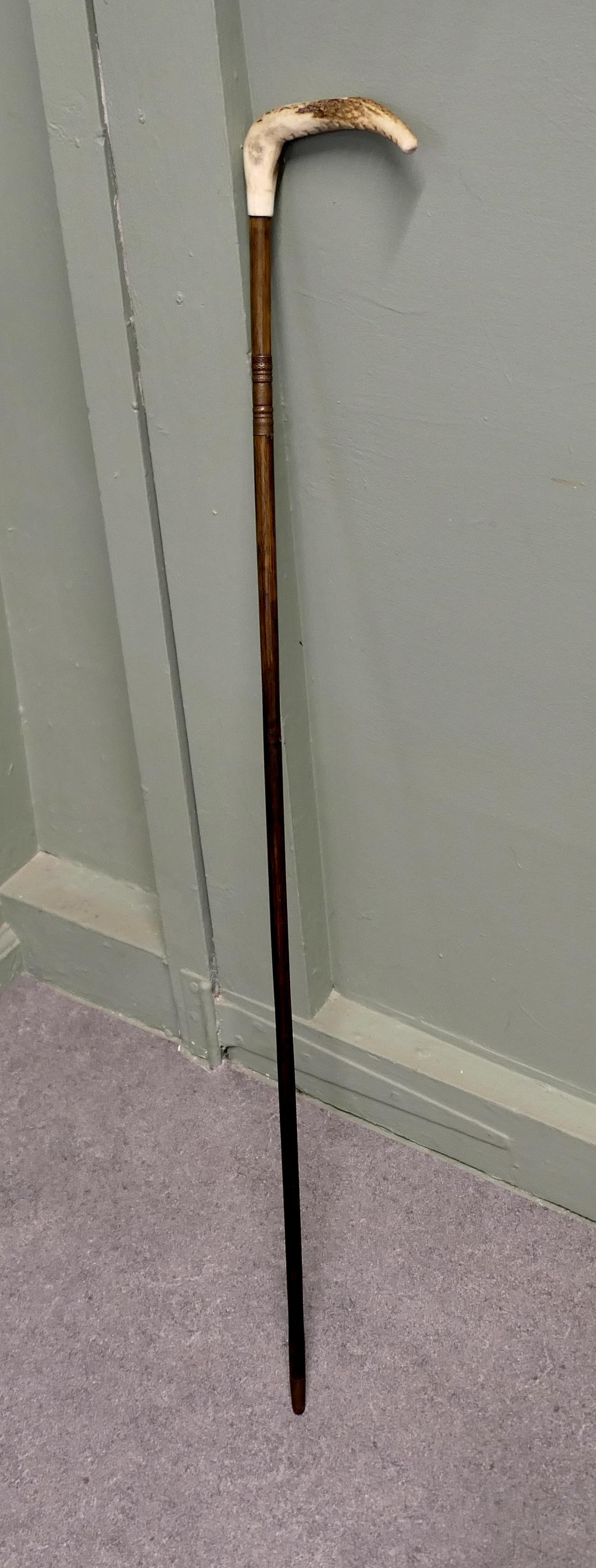 Horn Handled Bamboo Cane Sword Stick (1 of 6)