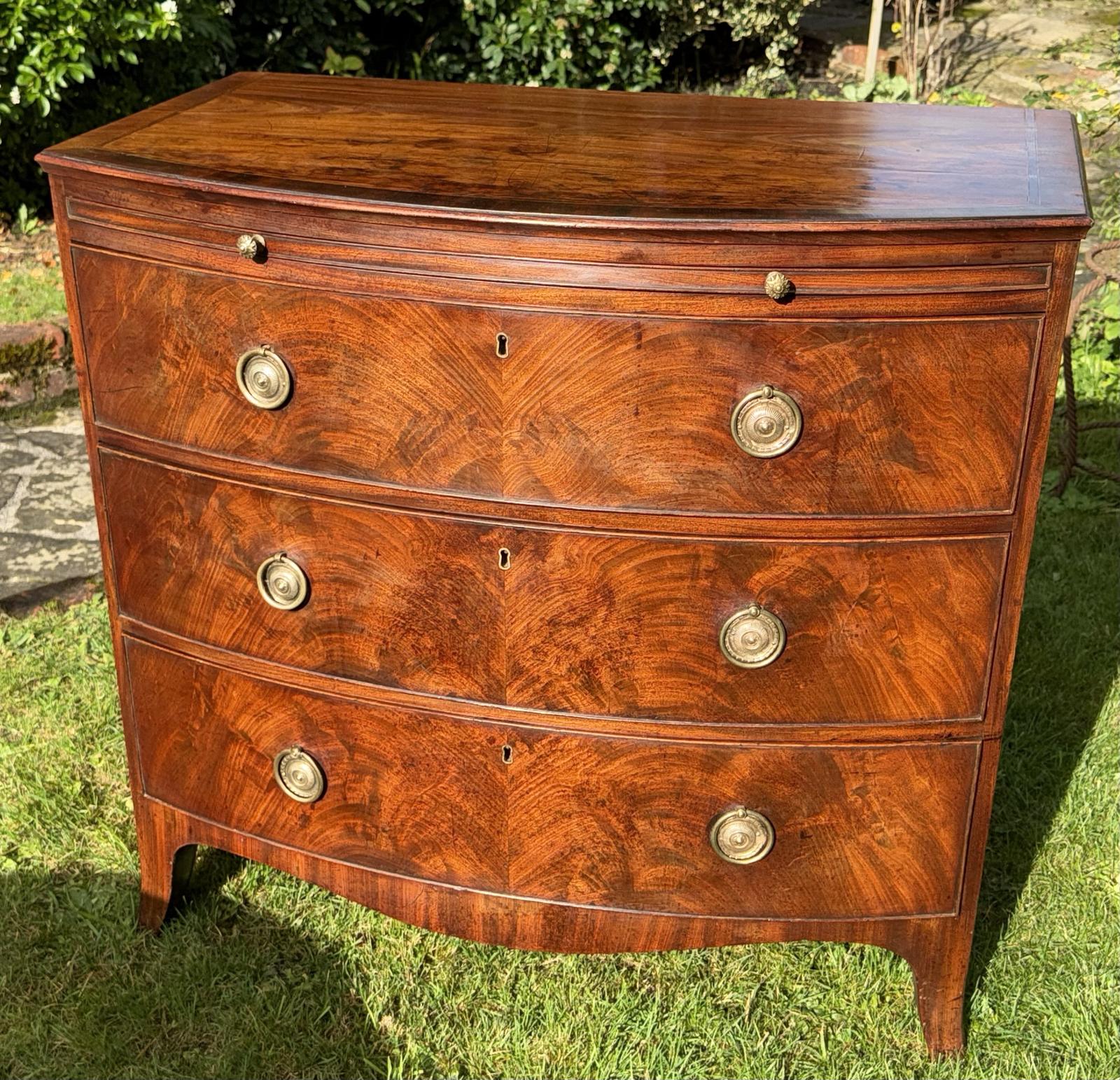 Small Regency Bow Fronted Chest of Drawers (1 of 6)