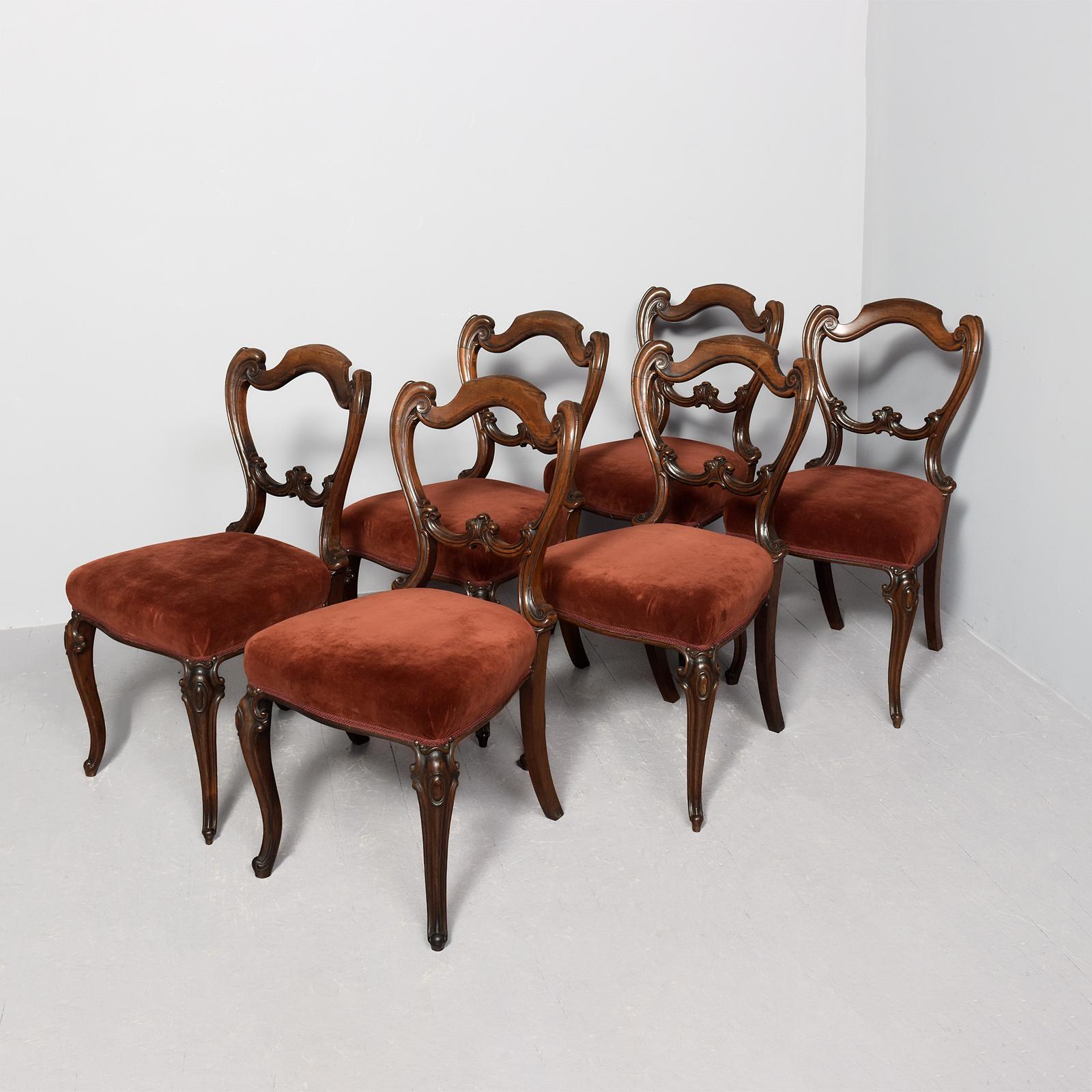 Set of 6 Elegant William IV Rosewood Dining Chairs (1 of 8) Set of 6 Elegant William IV Rosewood Dining Chairs (1 of 8)