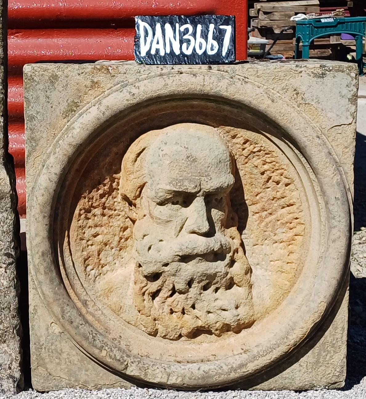 The Darwin Stone (1 of 1)