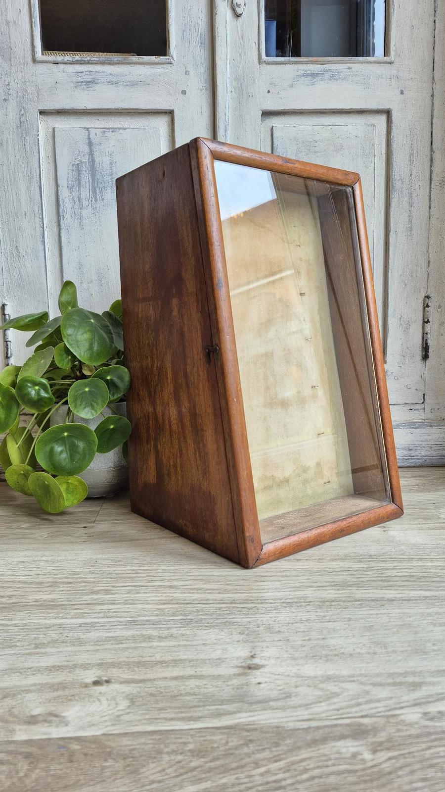 Antique Shop Display Cabinet, Countertop Glass Cabinet, (1 of 25)