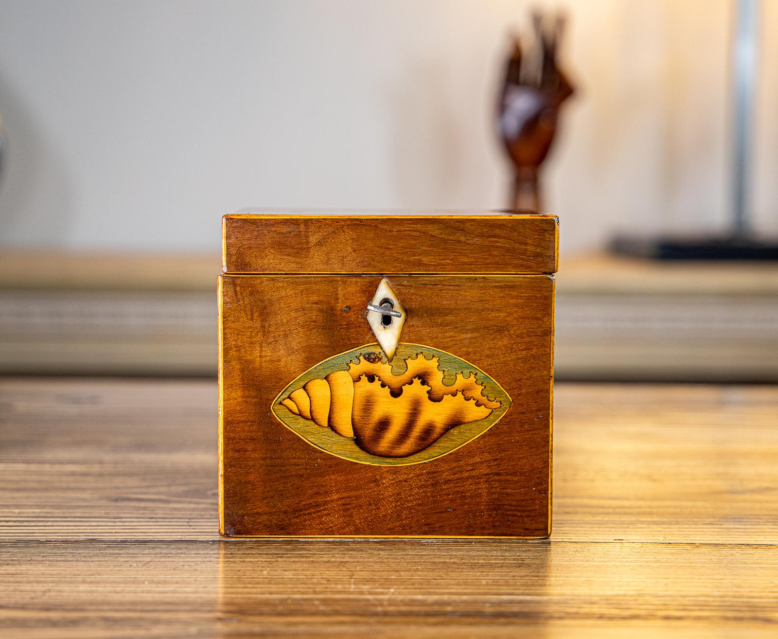 Fiddle Back Mahogany Georgian Tea Caddy 1790 (1 of 8) Fiddle Back Mahogany Georgian Tea Caddy 1790 (1 of 8)