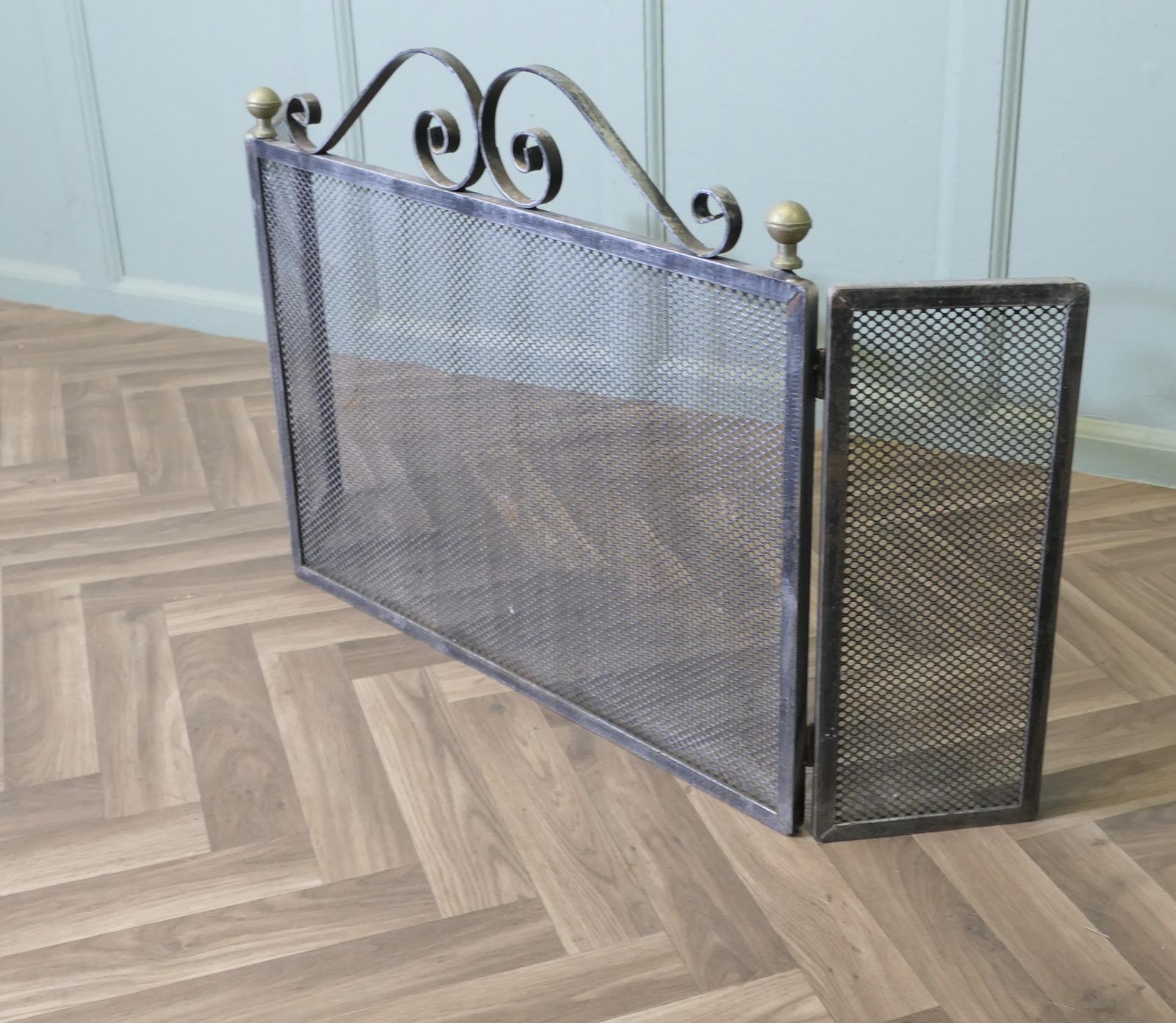 Unusual Very Heavy Iron Fire Guard (1 of 6)