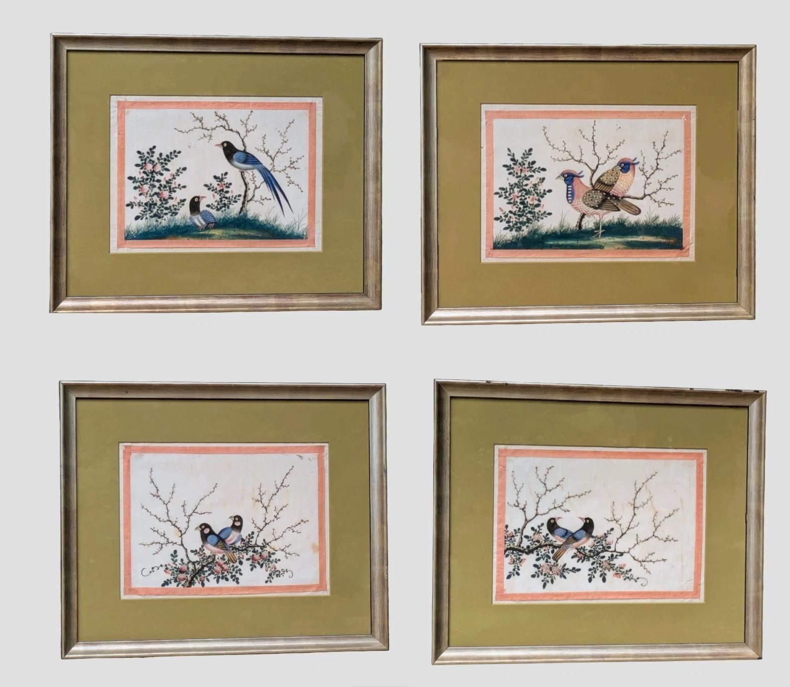 Antique Chinese Watercolour Paintings Birds - Set of 4 (1 of 10)