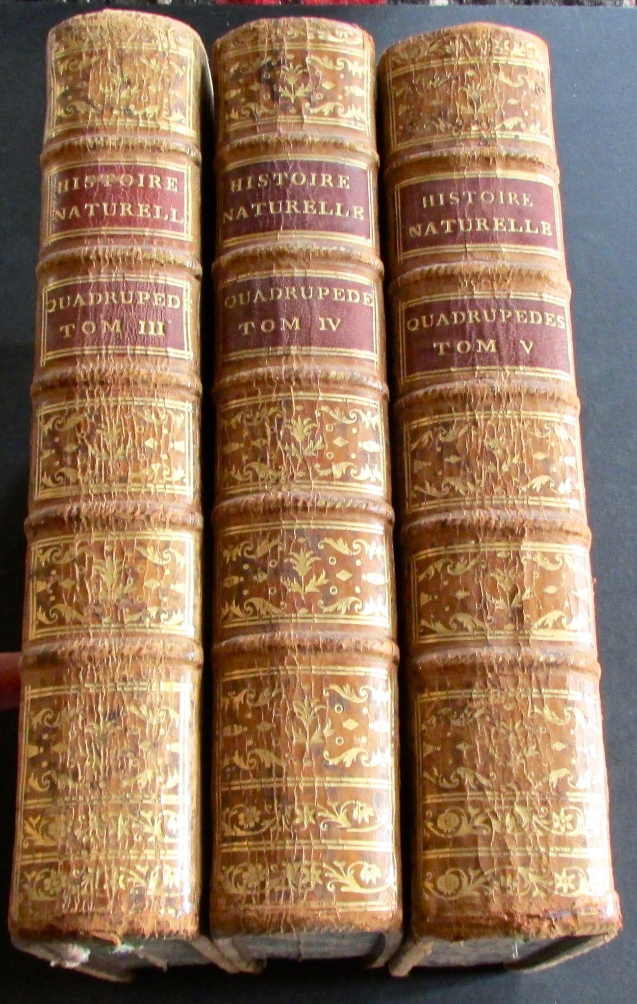 1784 Buffon's Natural History 3 x Large Leather Volumes 140 x Copper Engravings (1 of 9) 1784 Buffon's Natural History 3 x Large Leather Volumes 140 x Copper Engravings (1 of 9)
