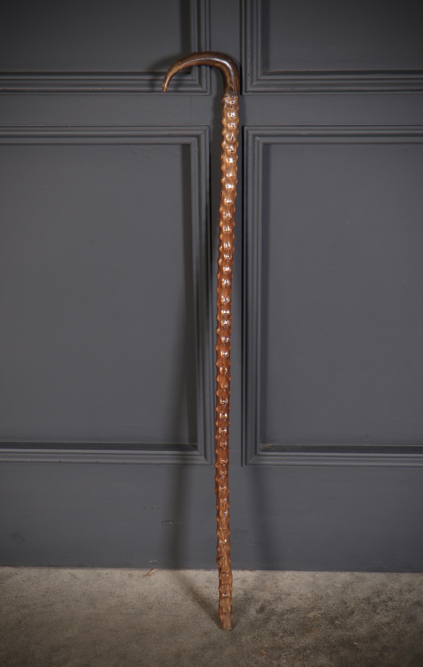 Gentlemans Walking Stick Cane (1 of 6)