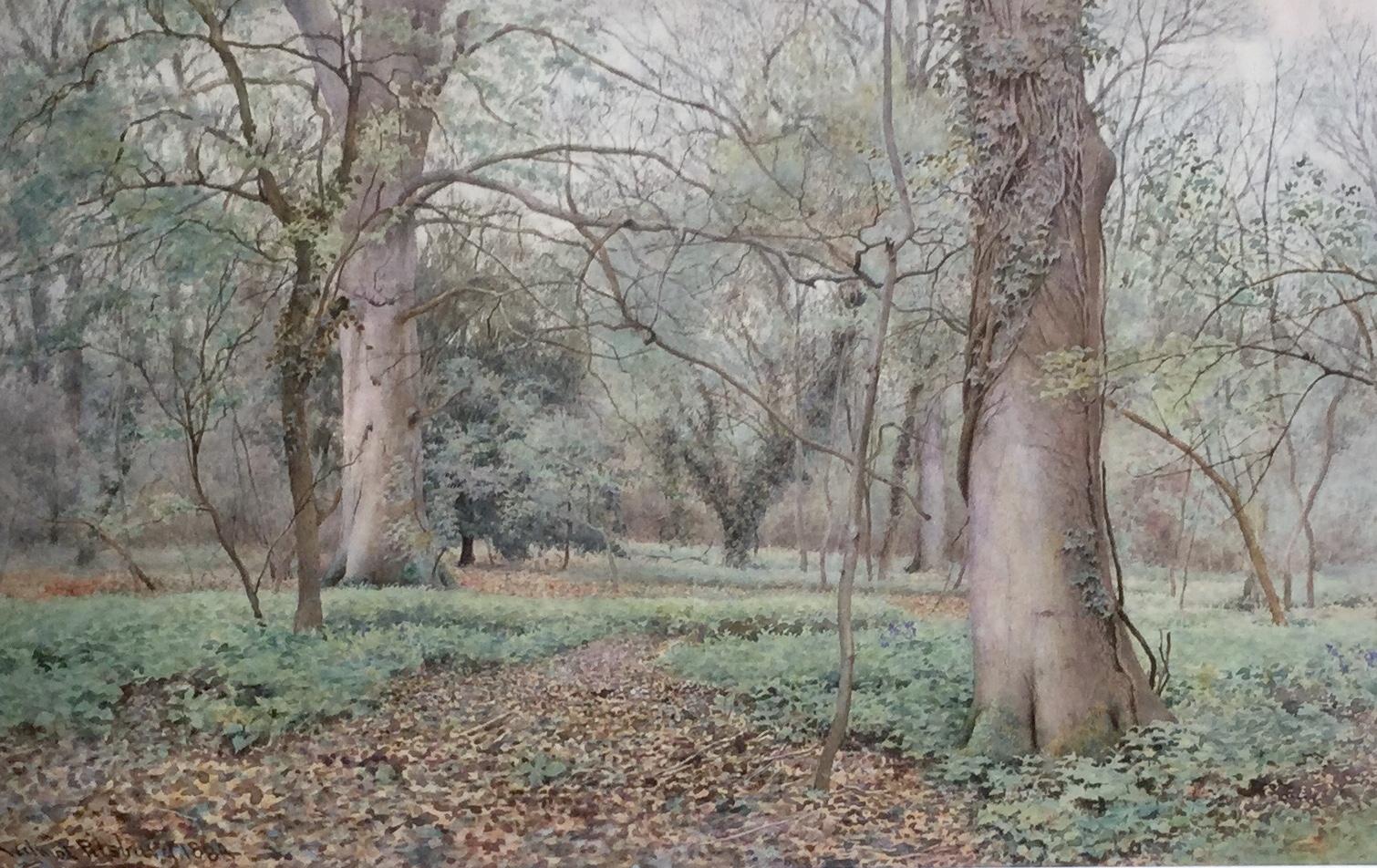 Wilmot Pilsbury Watercolour - Woodland Scene (1 of 3)
