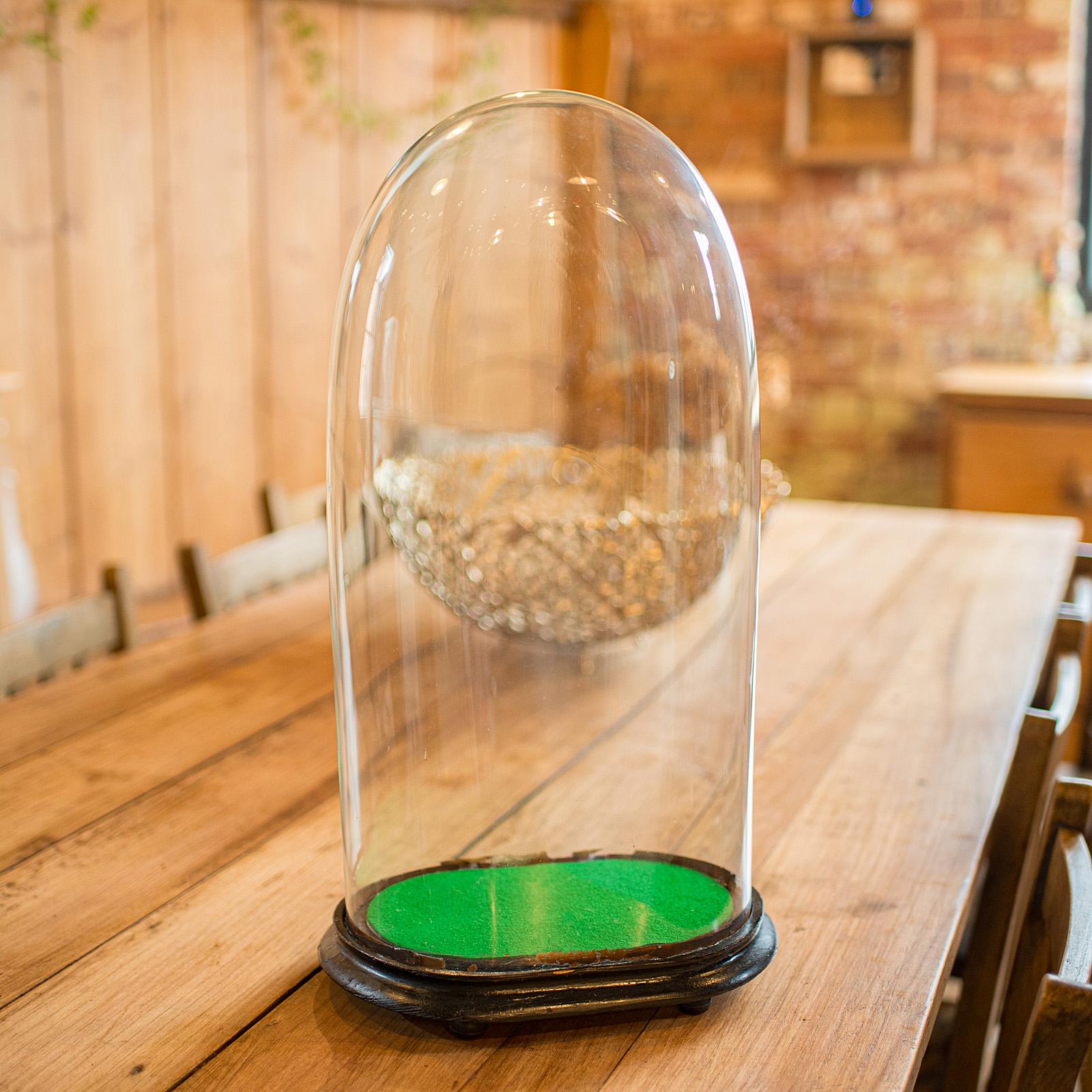 Large Antique Oval Clock Dome, English, Ornament Display, Showcase, Victorian (1 of 10)