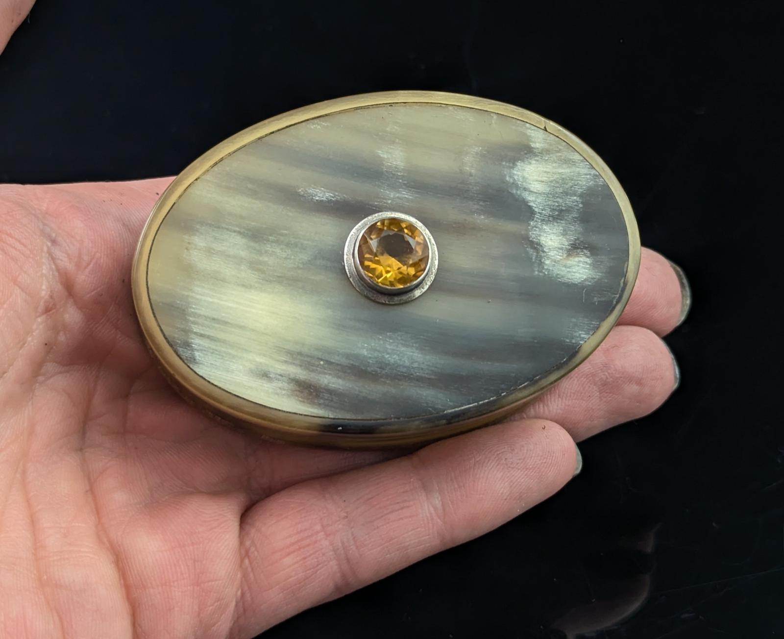 Antique Scottish Horn Snuff Box (1 of 9)