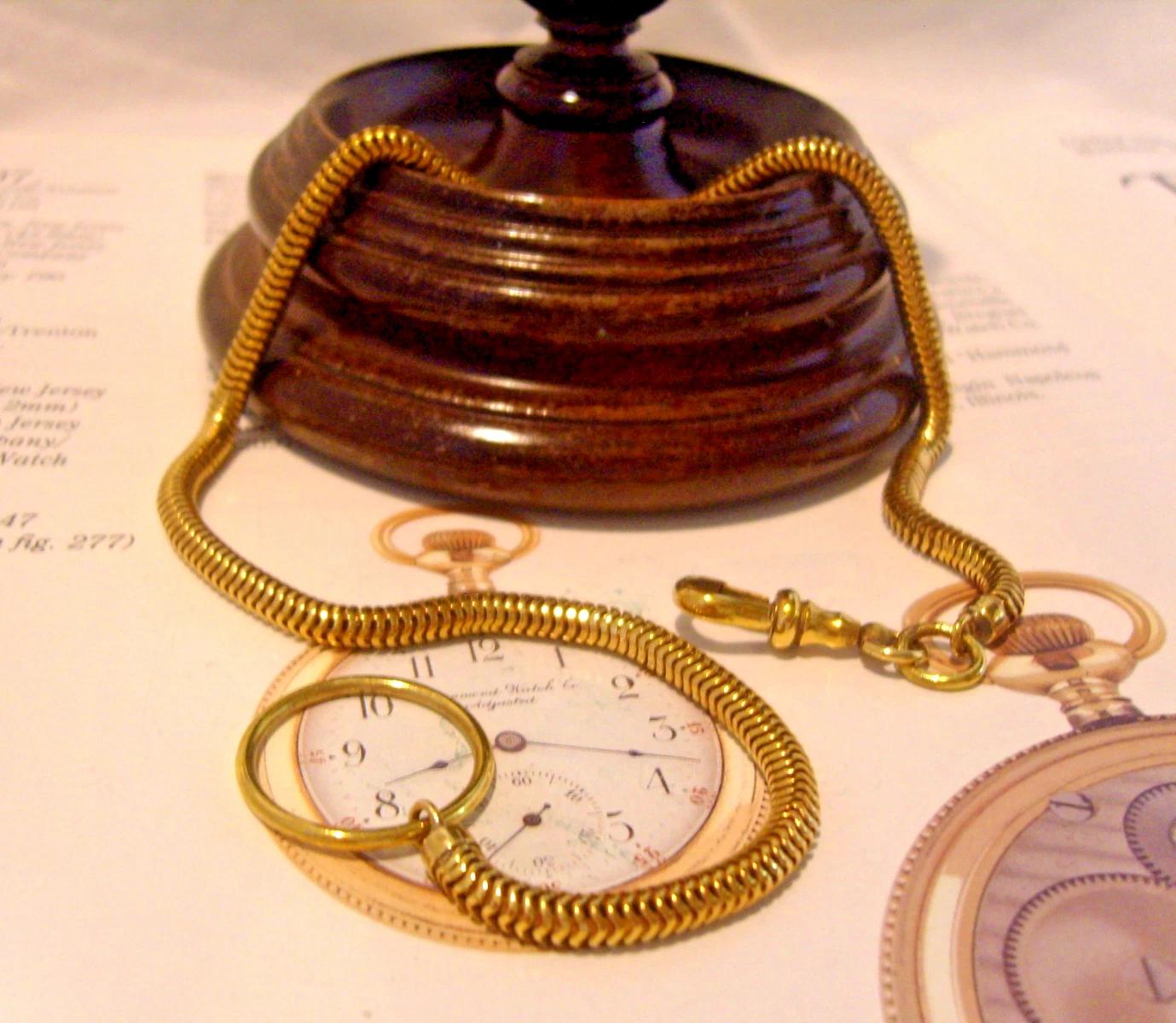 Pocket Watch Chain Victorian Brass Snake Link Albert With Button Hole Clasp (1 of 10)