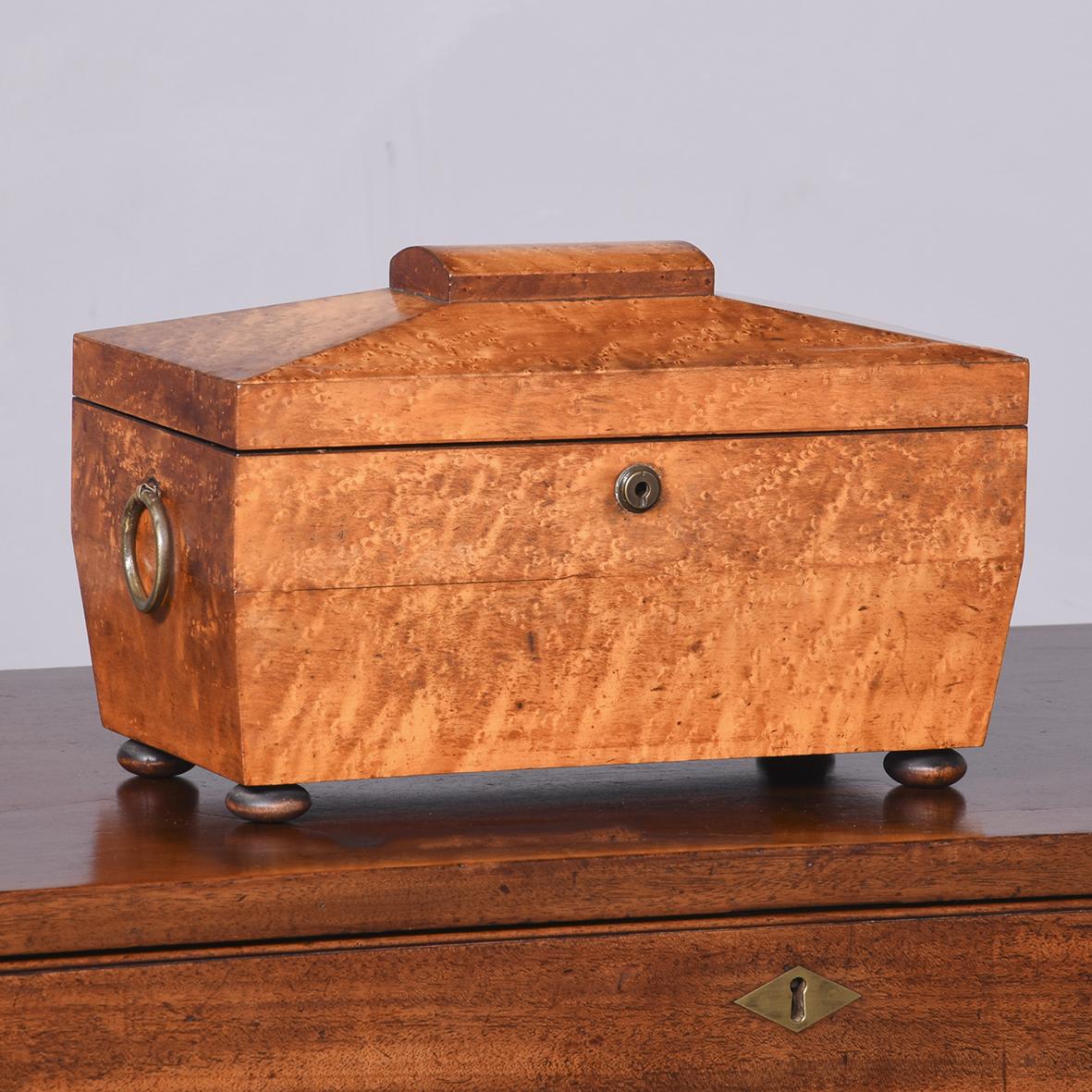 Quality George IV Birdseye Maple Tea Caddy (1 of 9)