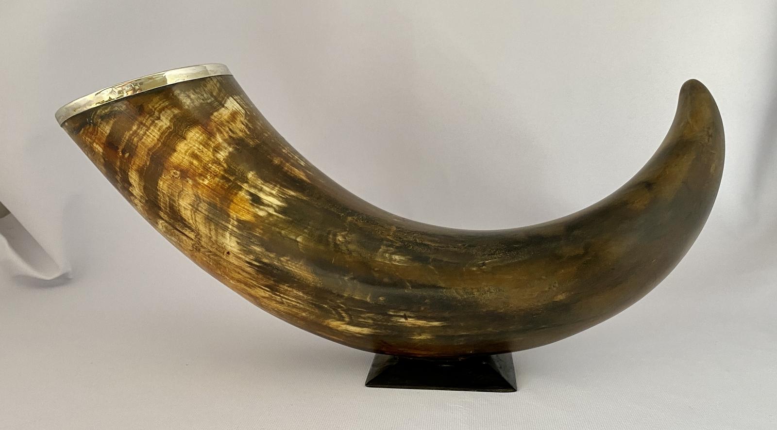 Horn Table Snuff c.1900 (1 of 5)