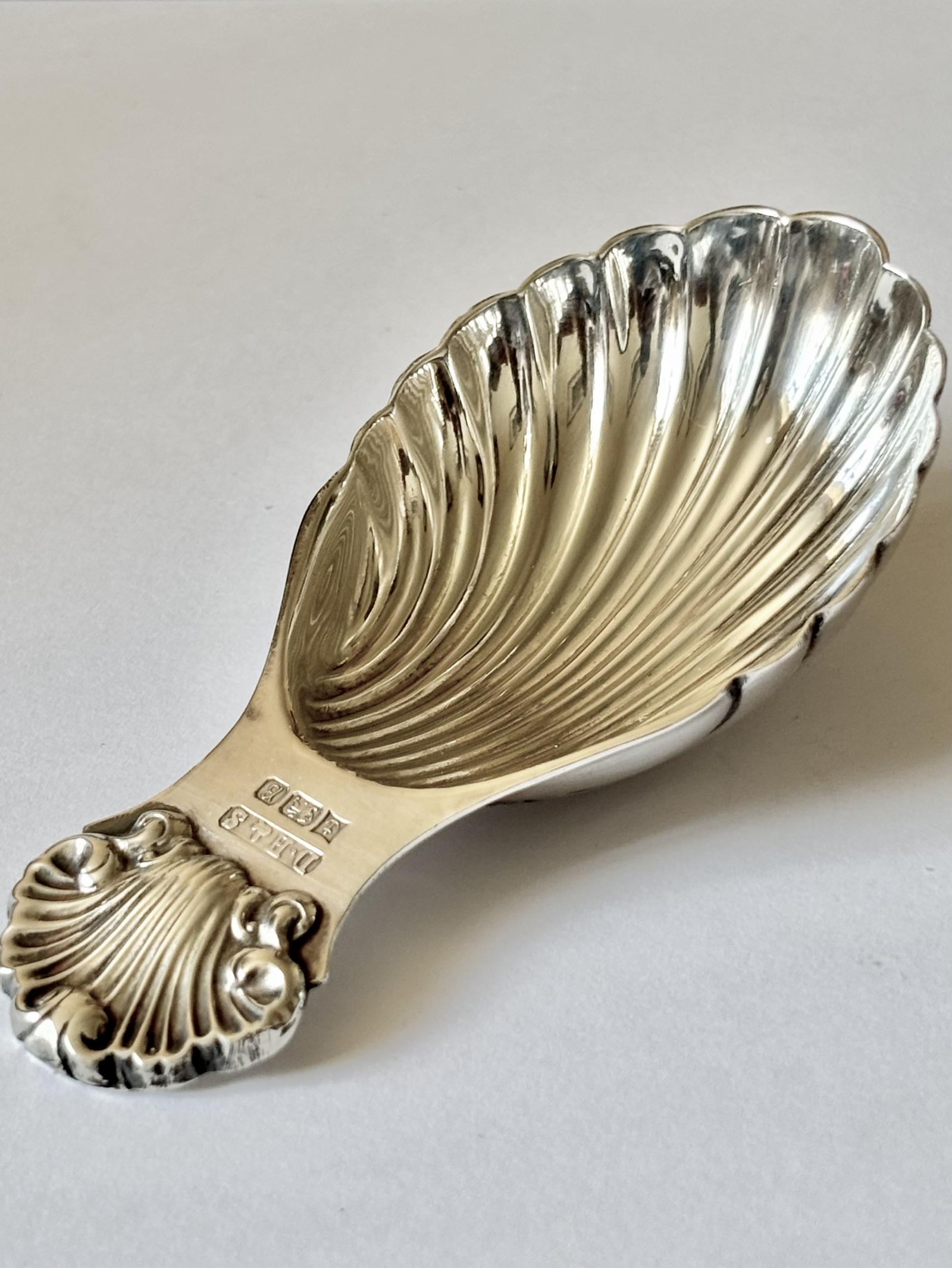 Elizabeth II Silver Shell Caddy Spoon Birmingham 1976 David Hollander & Son (1 of 6) Elizabeth II Silver Shell Caddy Spoon Birmingham 1976 David Hollander & Son (1 of 6)