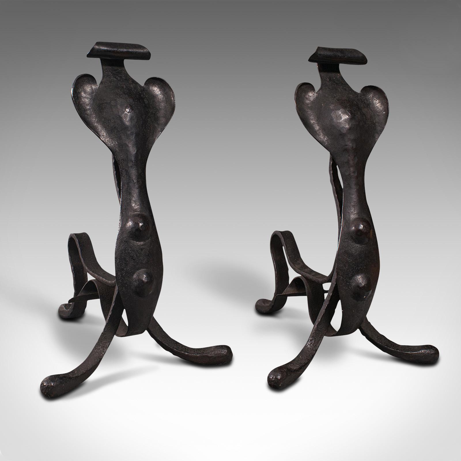 Pair of Antique Fireside Tool Rests, English, Fire Dog, Art Nouveau, Victorian (1 of 12)
