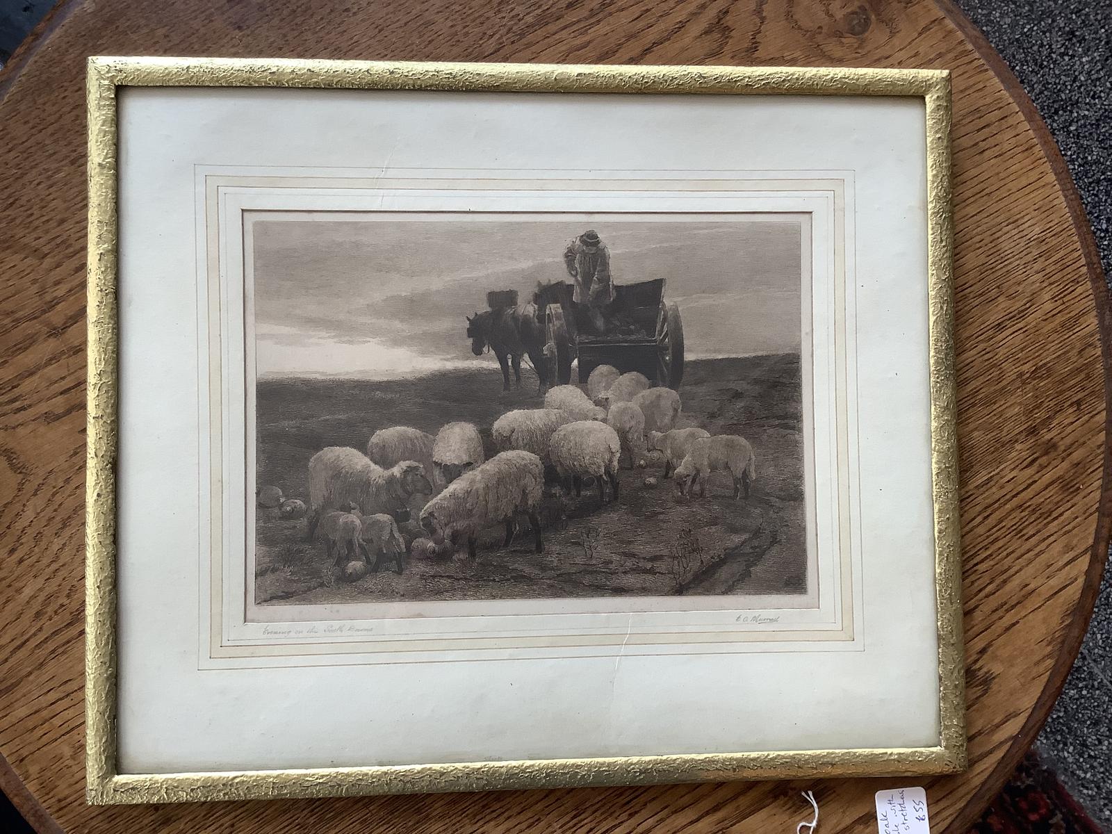 Charles O Murray (b1846):  Etching "Evening on the South Downs" (1 of 4)