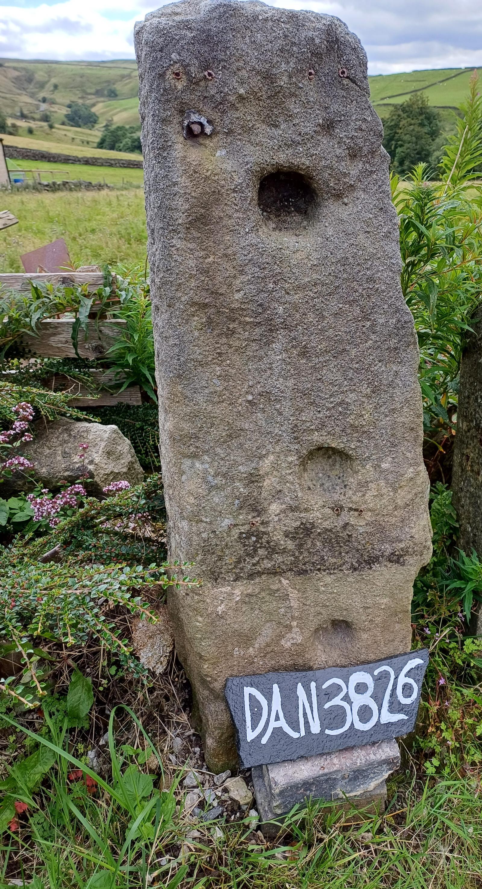 Old York Stoop (1 of 1)