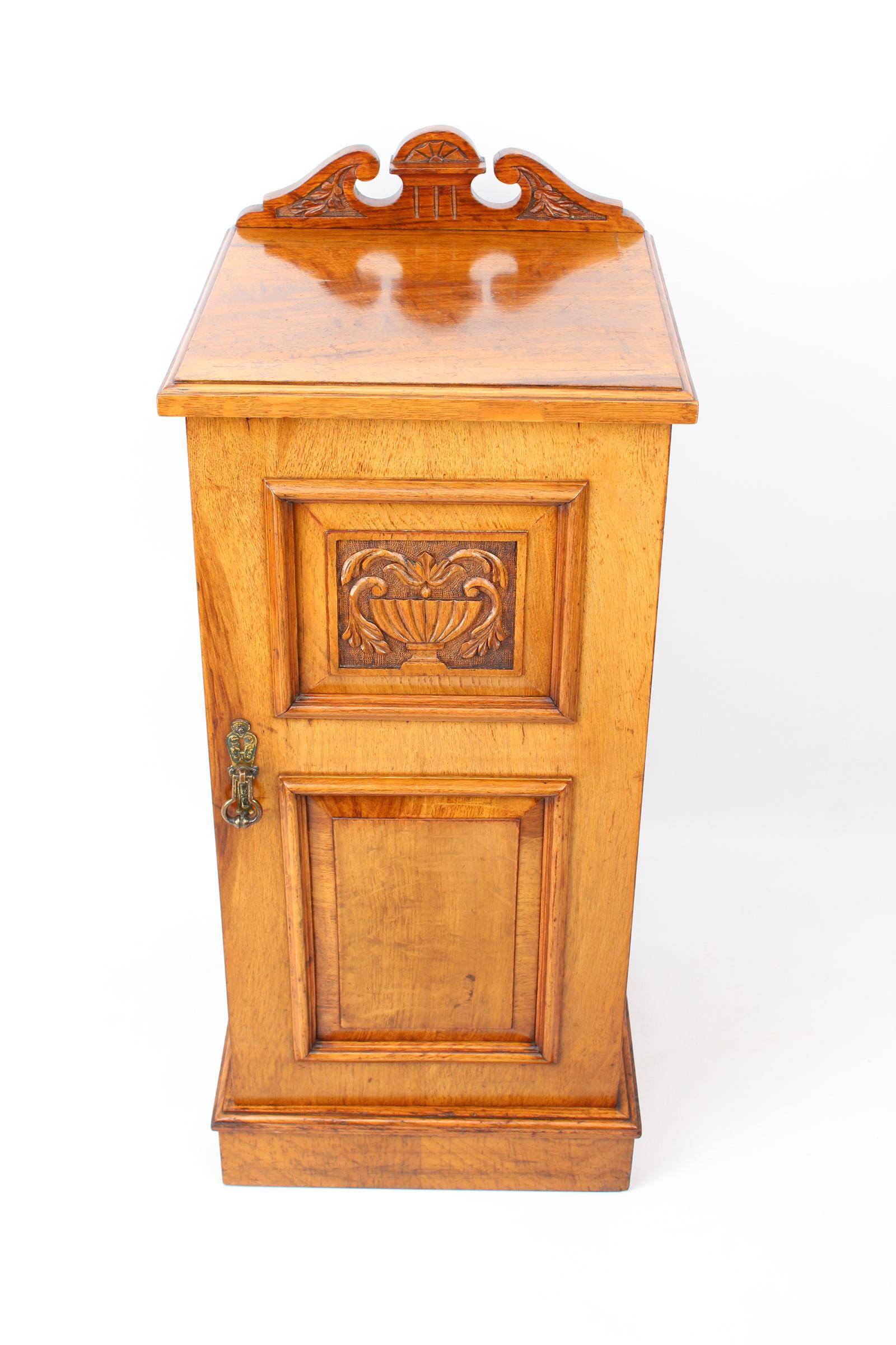 Tall Victorian Ash Bedside Cabinet (1 of 13)