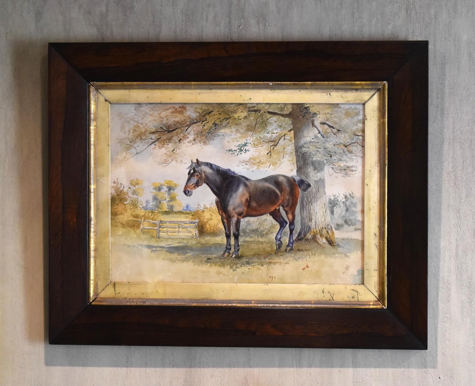 Victorian Watercolour of Horse (1 of 5)