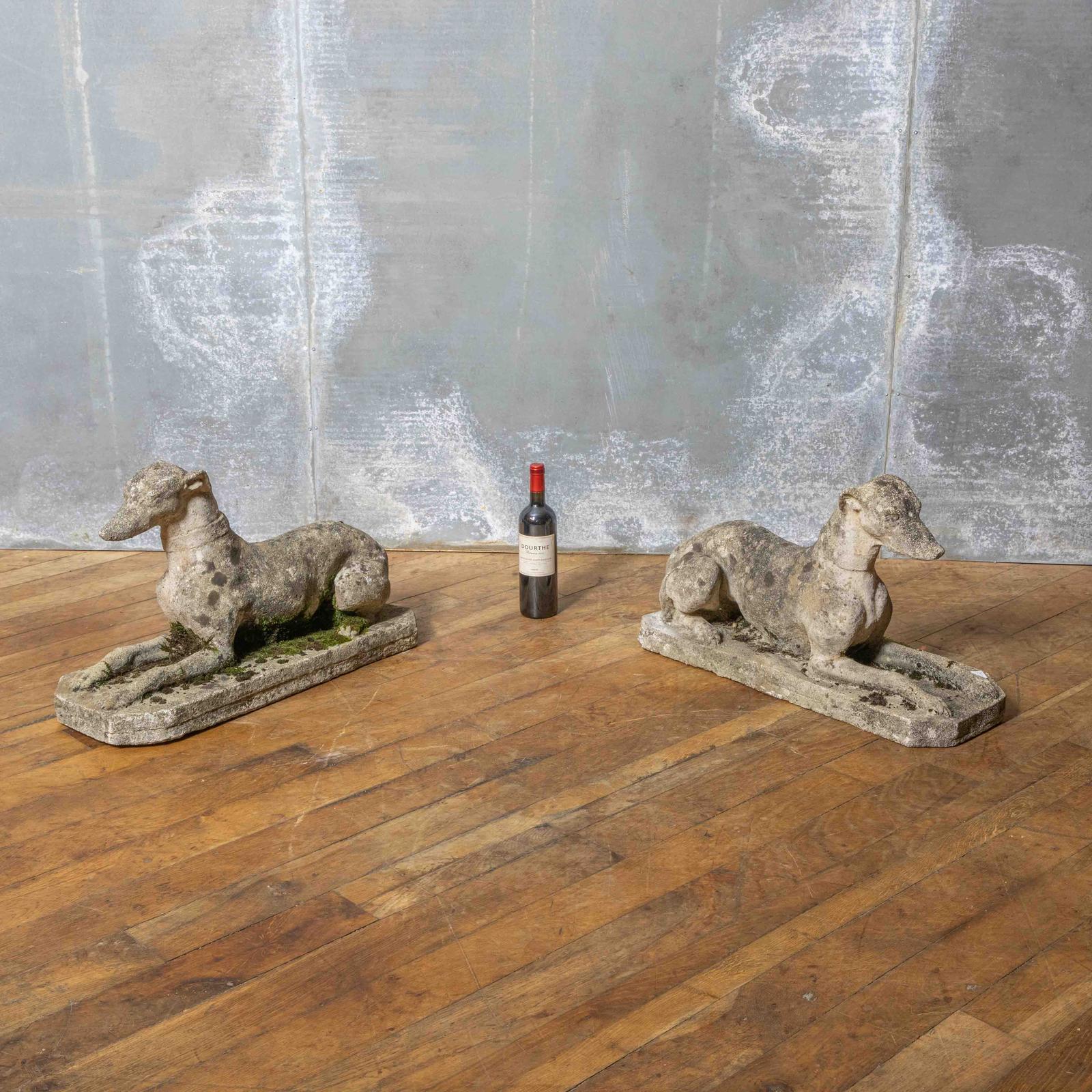 The Eric Morecambe Greyhounds (1 of 11)