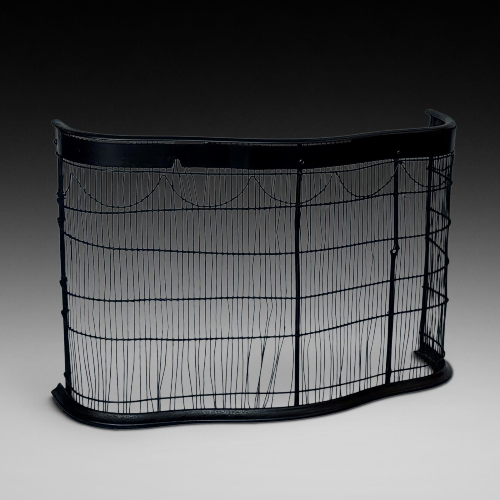 Edwardian Wire Mesh Nursery Fender (1 of 5)