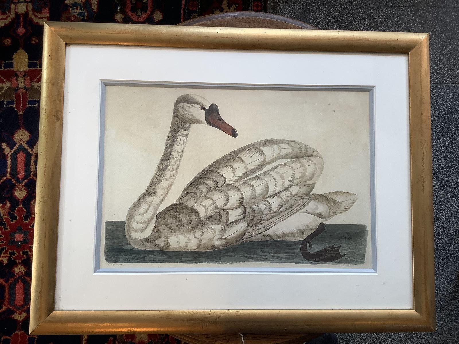 18th Century Engraving of a Swan by Mazell after Paillou (1 of 6) 18th Century Engraving of a Swan by Mazell after Paillou (1 of 6)
