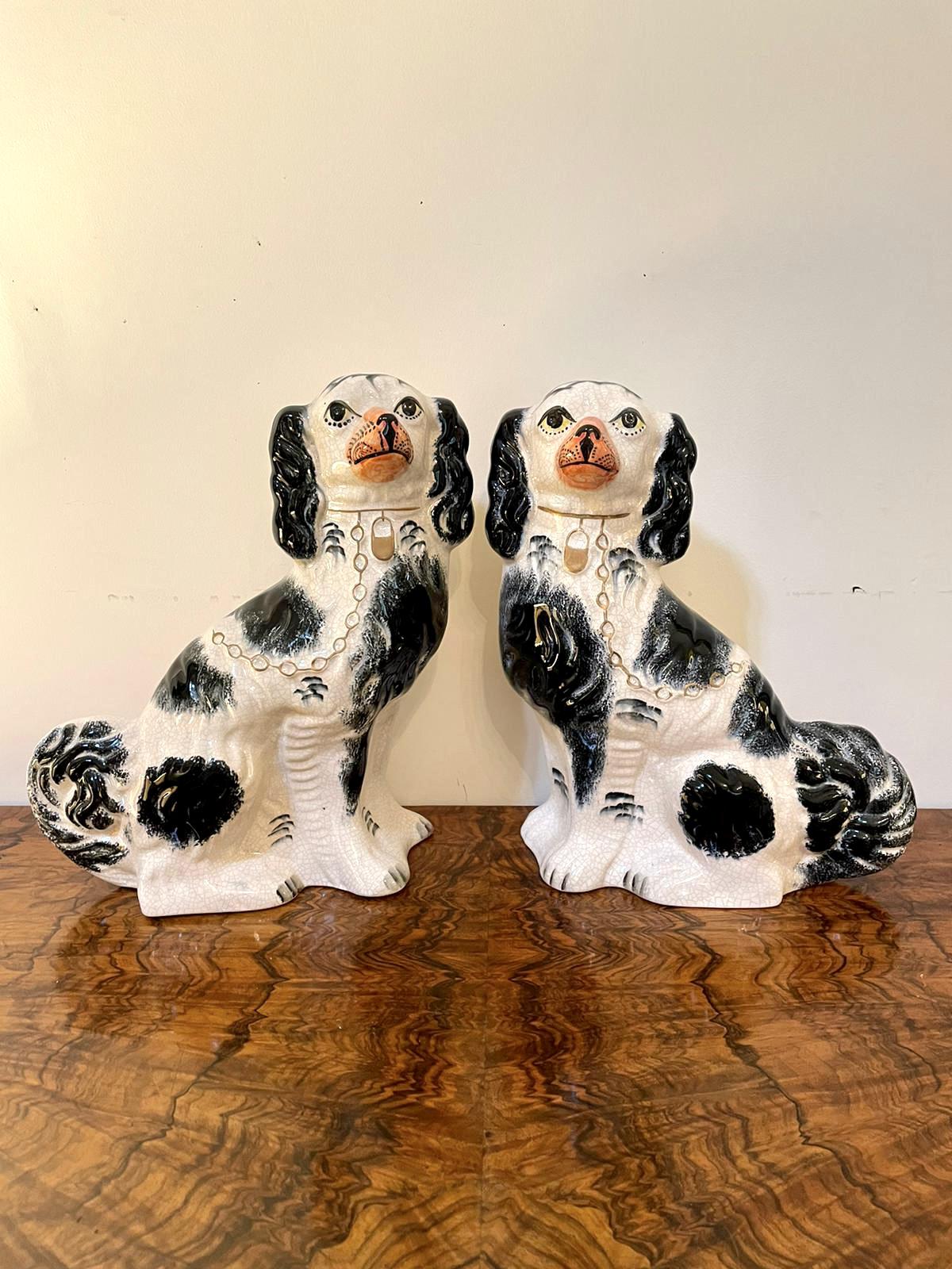 Pair of Antique Victorian Staffordshire Dogs (1 of 11) Pair of Antique Victorian Staffordshire Dogs (1 of 11)