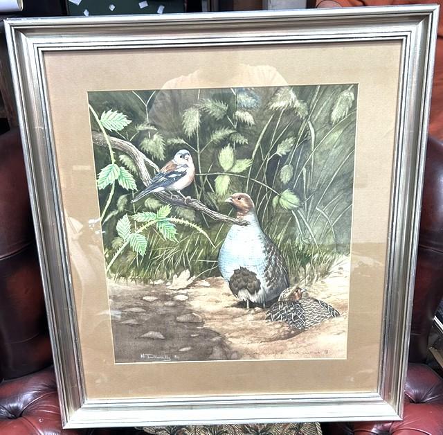 Framed Original Watercolour & Pencil Painting of Birds, by Wildlife Artist Mike Donnelly (1 of 3) Framed Original Watercolour & Pencil Painting of Birds, by Wildlife Artist Mike Donnelly (1 of 3)
