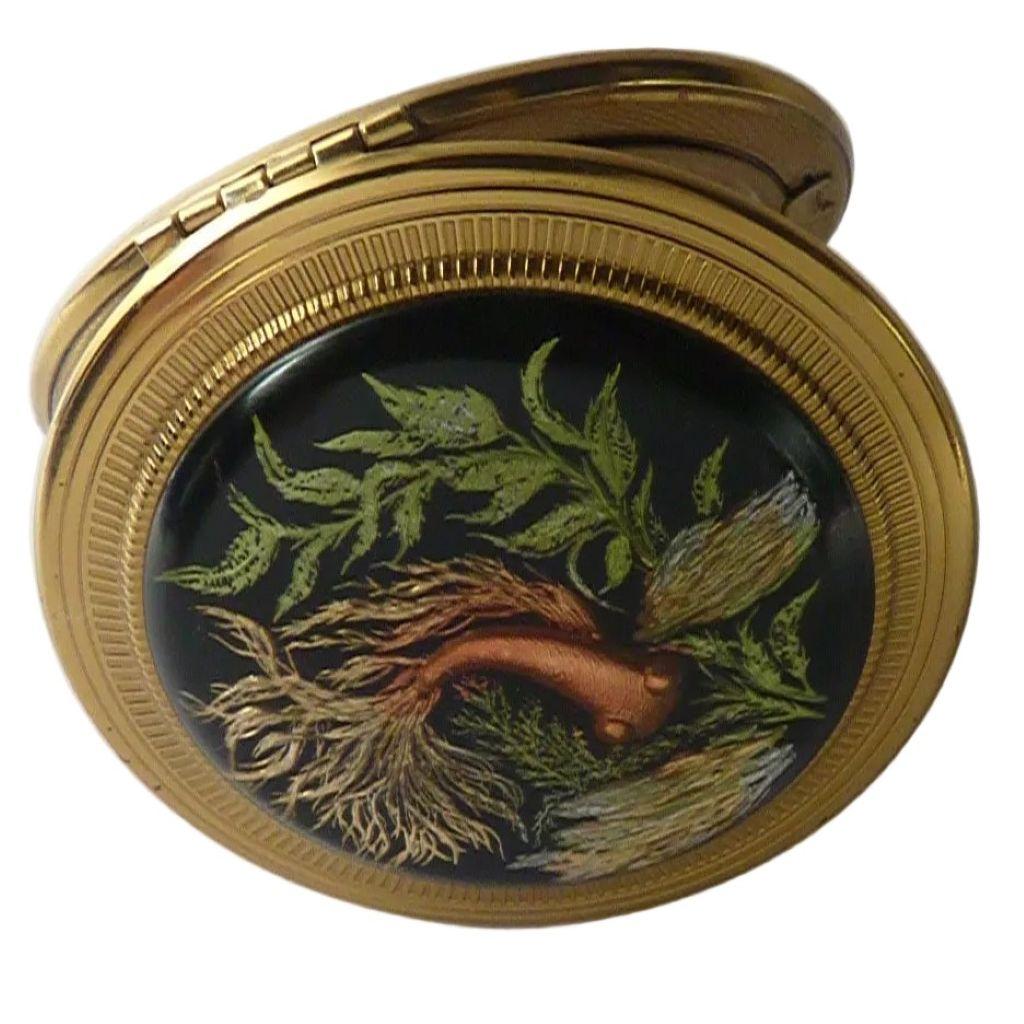 1950s Vintage Kigu Fish Lucite Dome Compact Mirror (1 of 7) 1950s Vintage Kigu Fish Lucite Dome Compact Mirror (1 of 7)