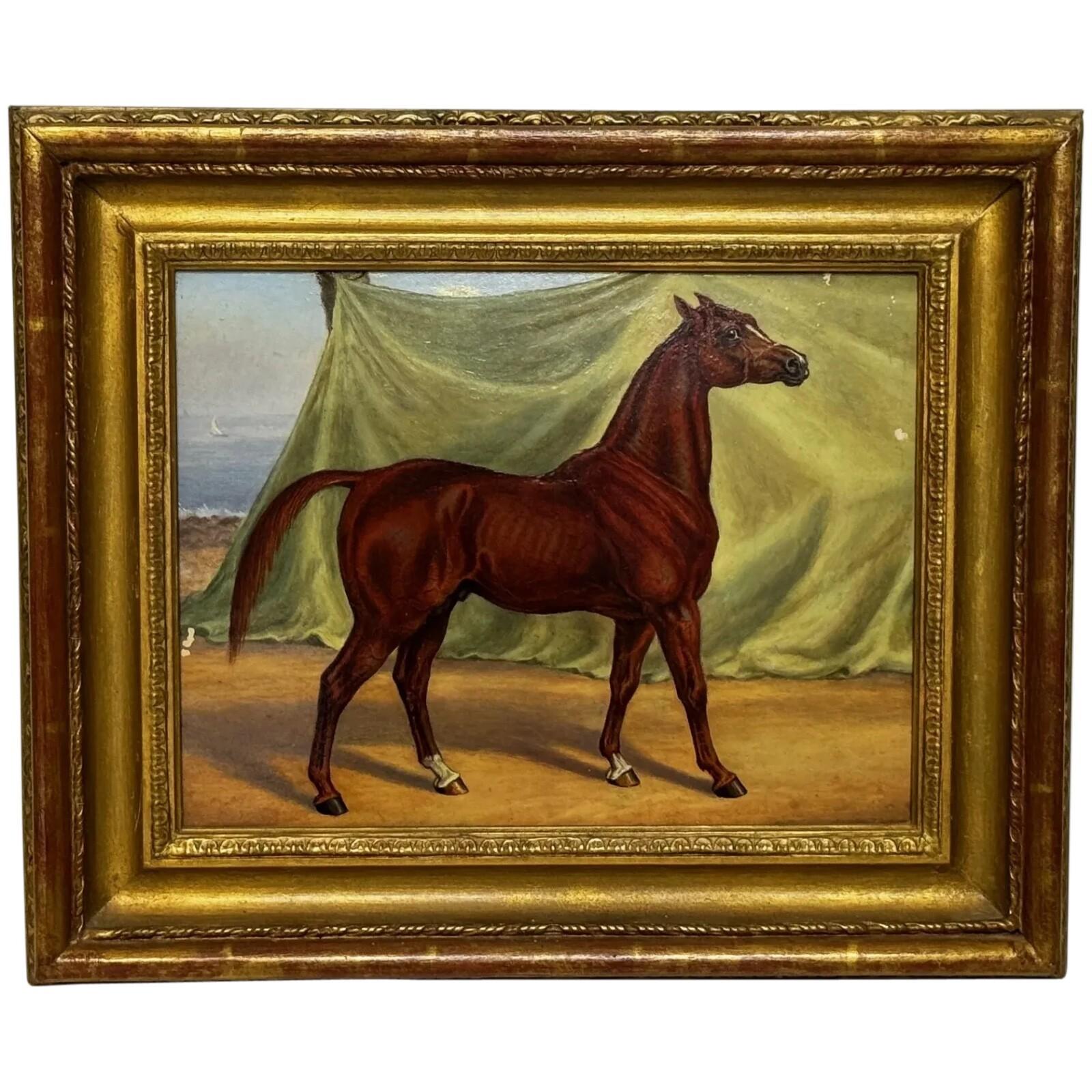 Victorian Sporting Oil Painting of a Purebred Arabian Horse in the Bombay Stables, India, (1 of 25) Victorian Sporting Oil Painting of a Purebred Arabian Horse in the Bombay Stables, India, (1 of 25)