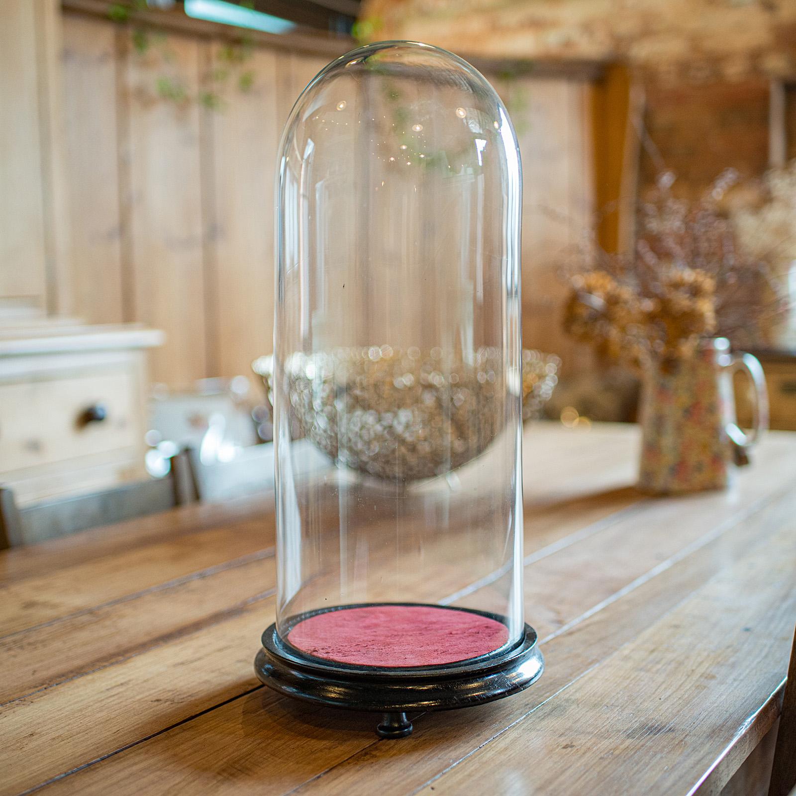 Antique Taxidermy Dome, English Glass Display Showcase, Specimen - Late Victorian (1 of 9)