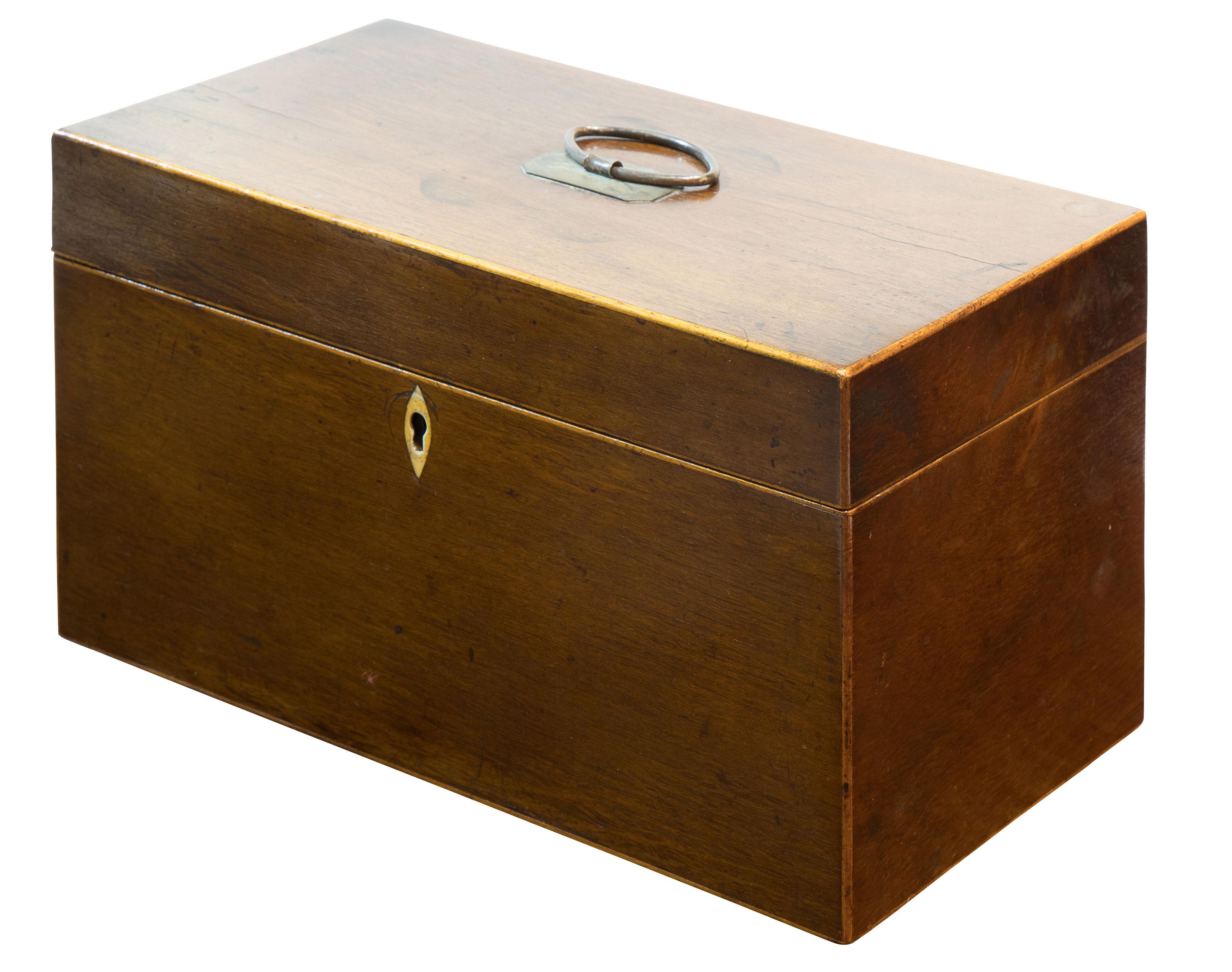 George III Partridgewood Tea Caddy (1 of 1)