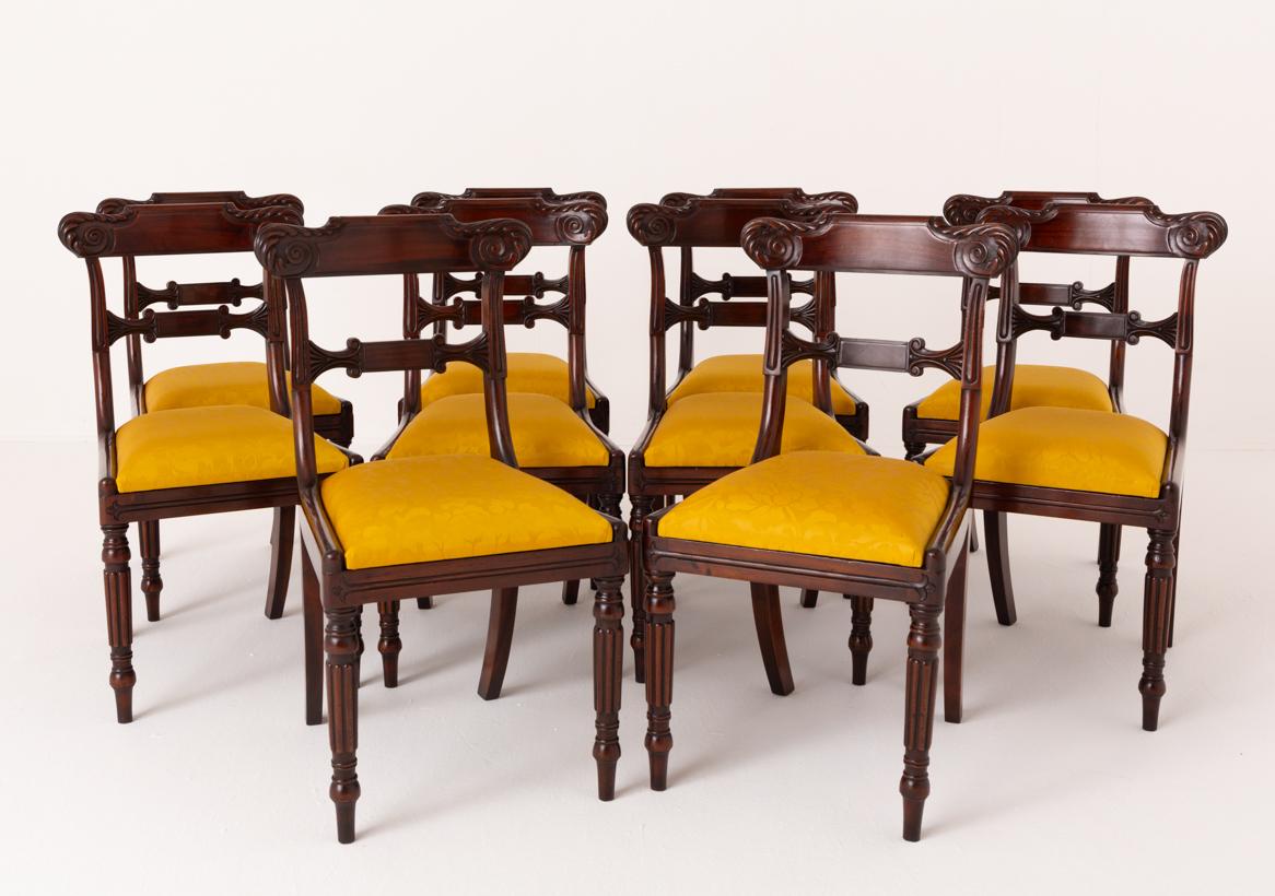 Set of 10 William IV Style Mahogany Dining Chairs (1 of 9)