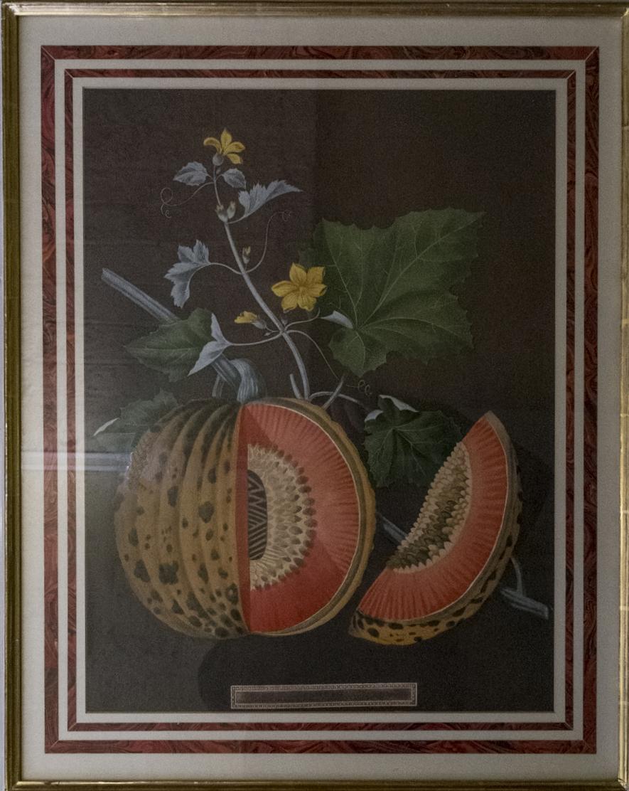 Decorative Engraving of a Watermelon (1 of 1) Decorative Engraving of a Watermelon (1 of 1)