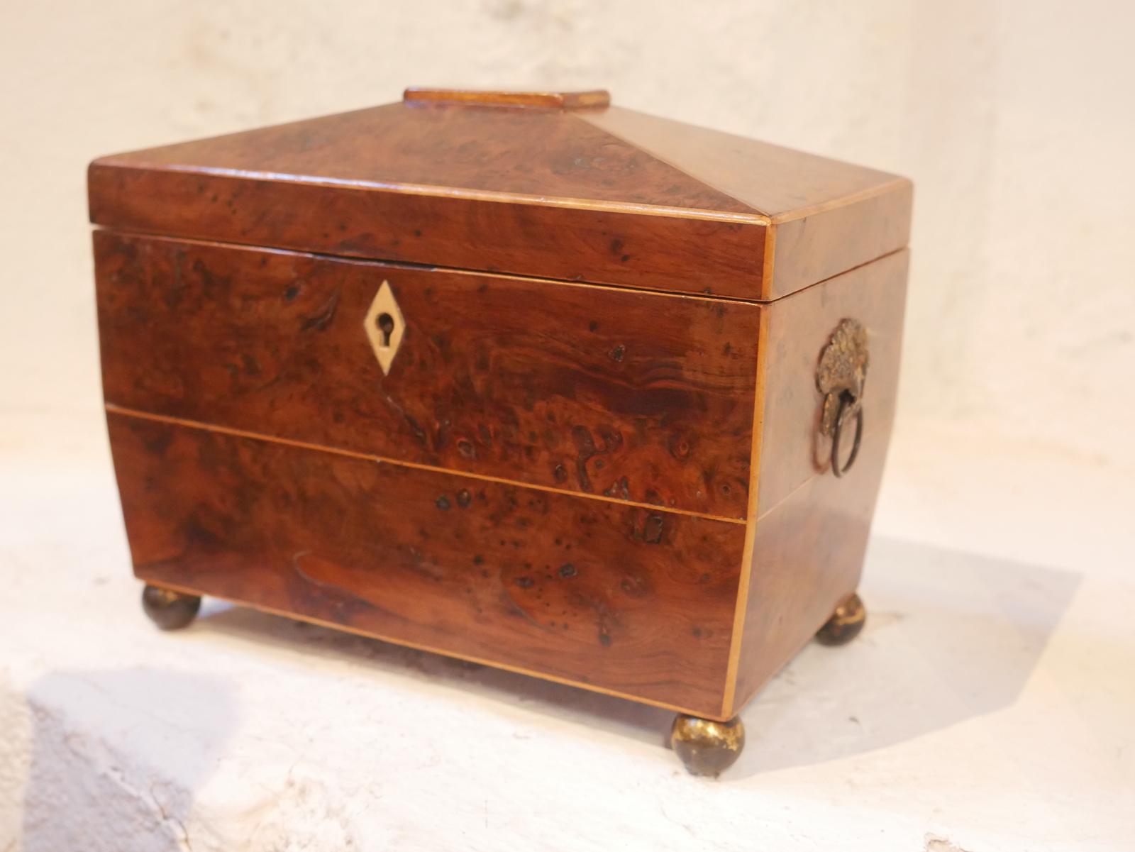 Regency Period Yew Wood Tea Caddy (1 of 9)
