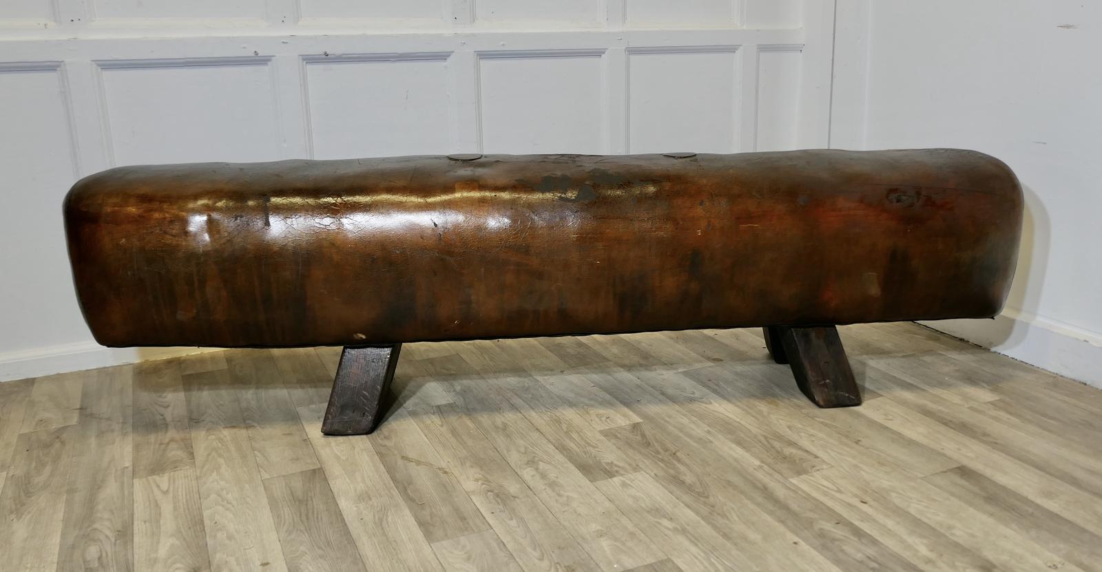 A Long Leather Pommel Horse Bench Seat (1 of 9)