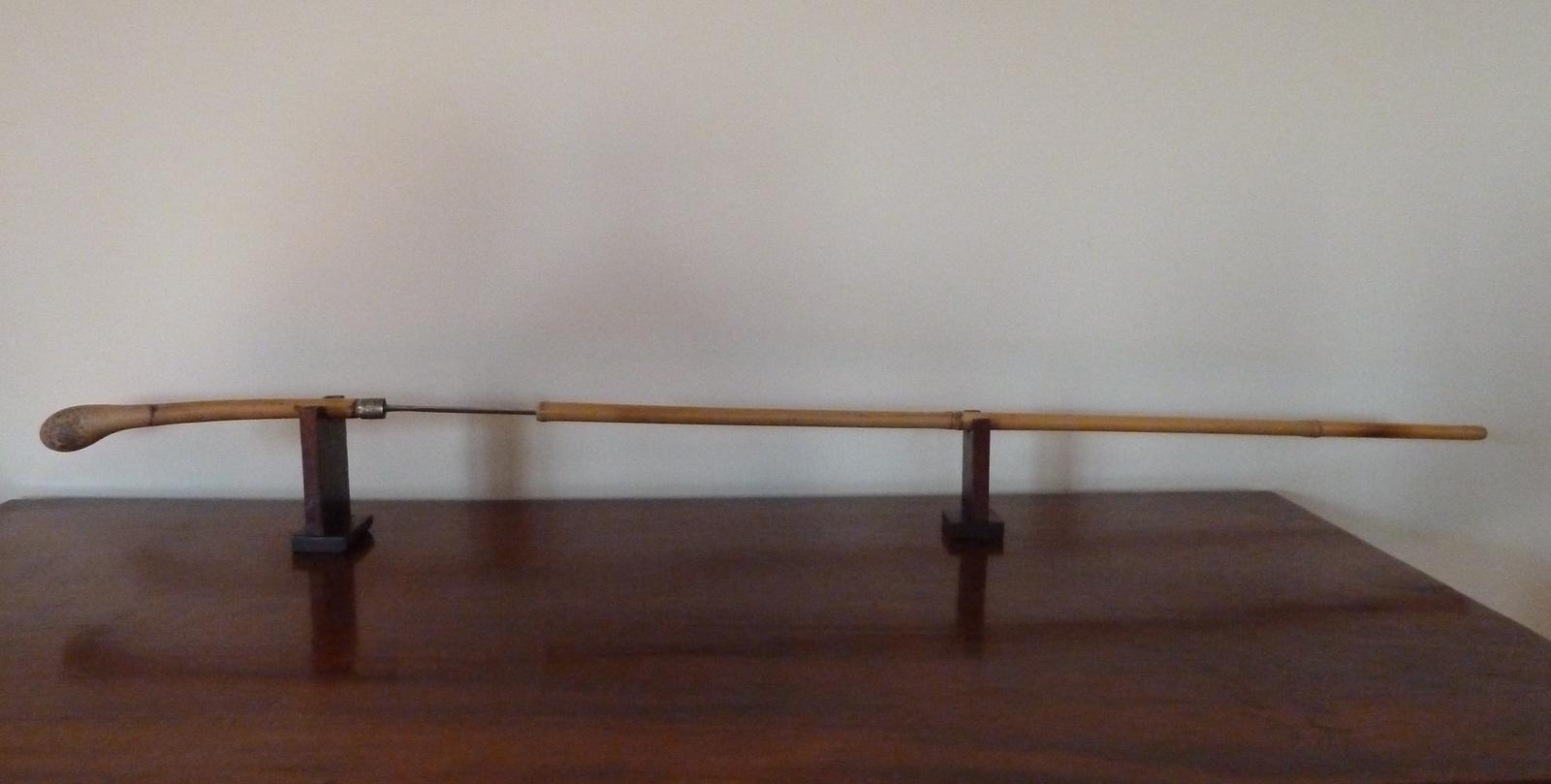 Bamboo Swordtick (1 of 11)