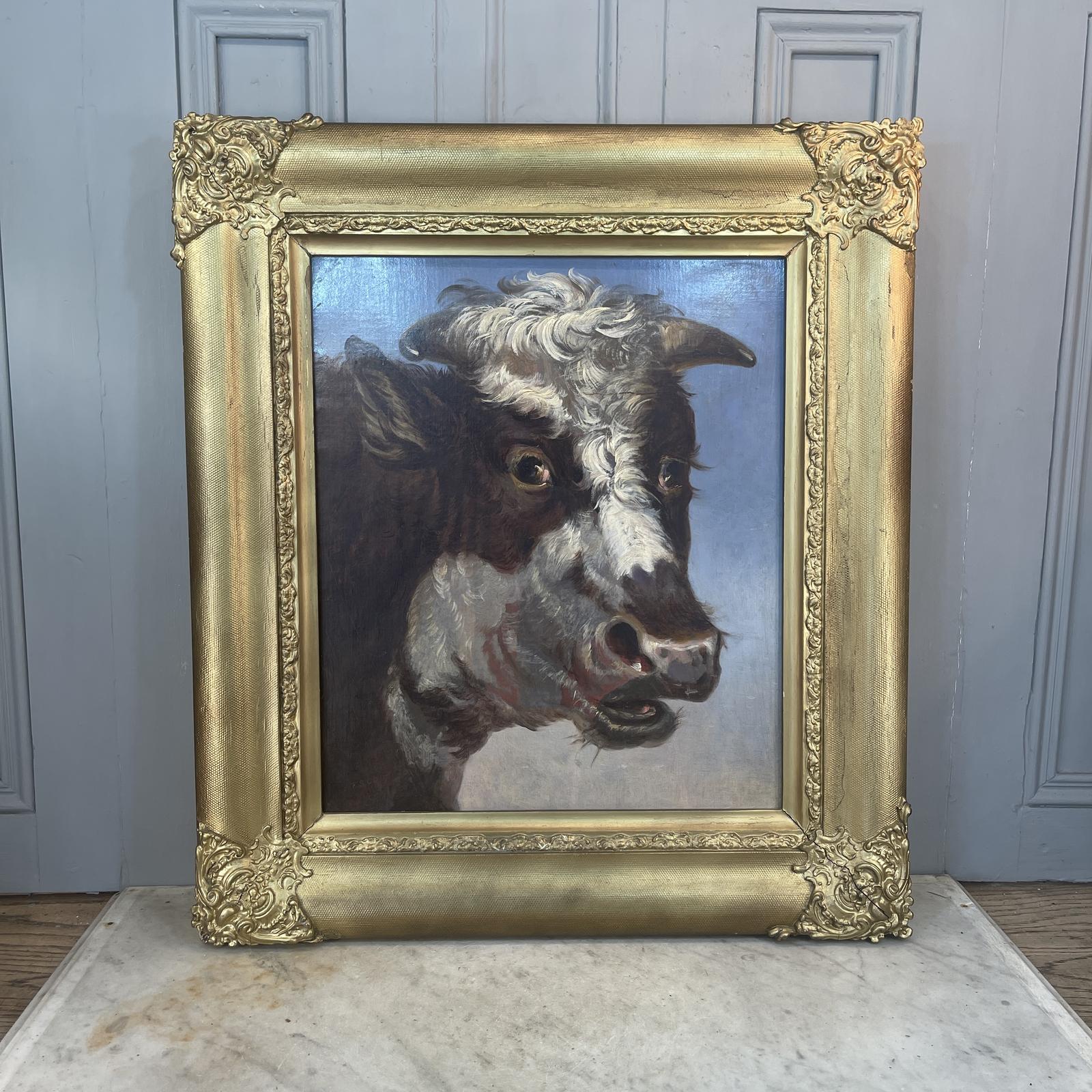 Large Antique Oil Painting Portrait Study of a Prize Bull Signed TS Cooper 1838 (1 of 10)