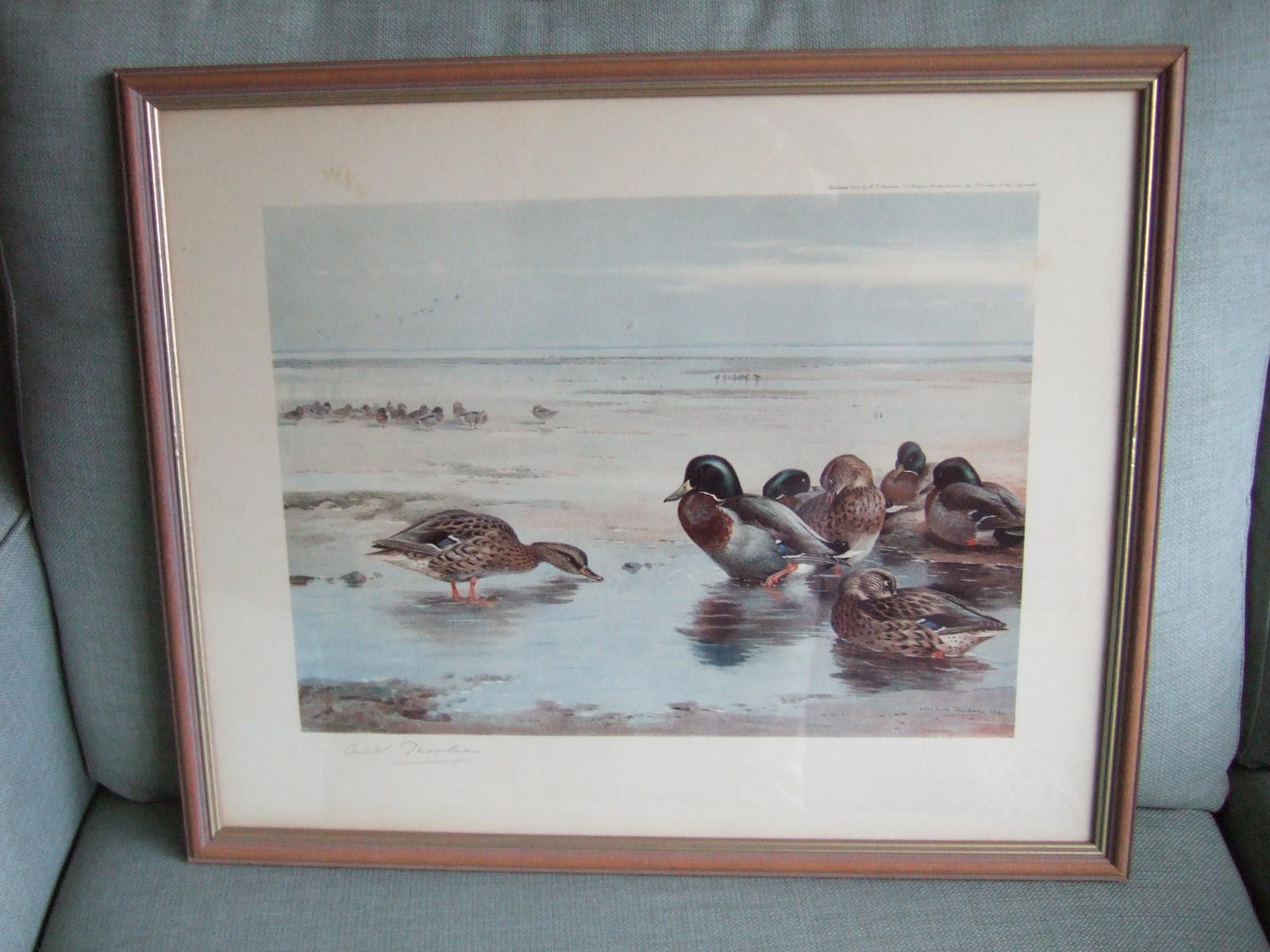 Archibald Thorburn: Signed Print - Mallards at Low Tide (1 of 1) Archibald Thorburn: Signed Print - Mallards at Low Tide (1 of 1)