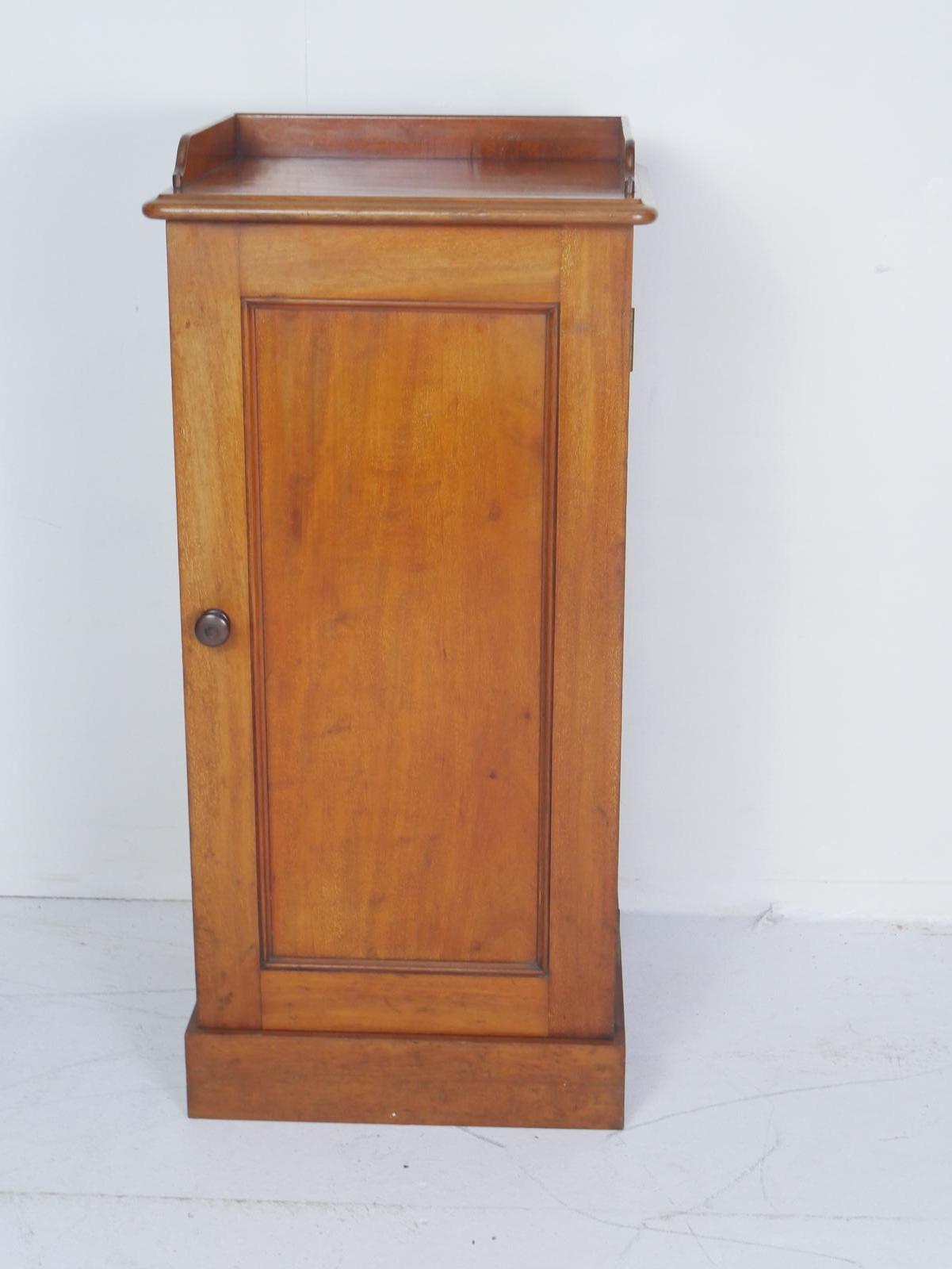 19th Century Bedside Cabinet Holland & Son (1 of 9)